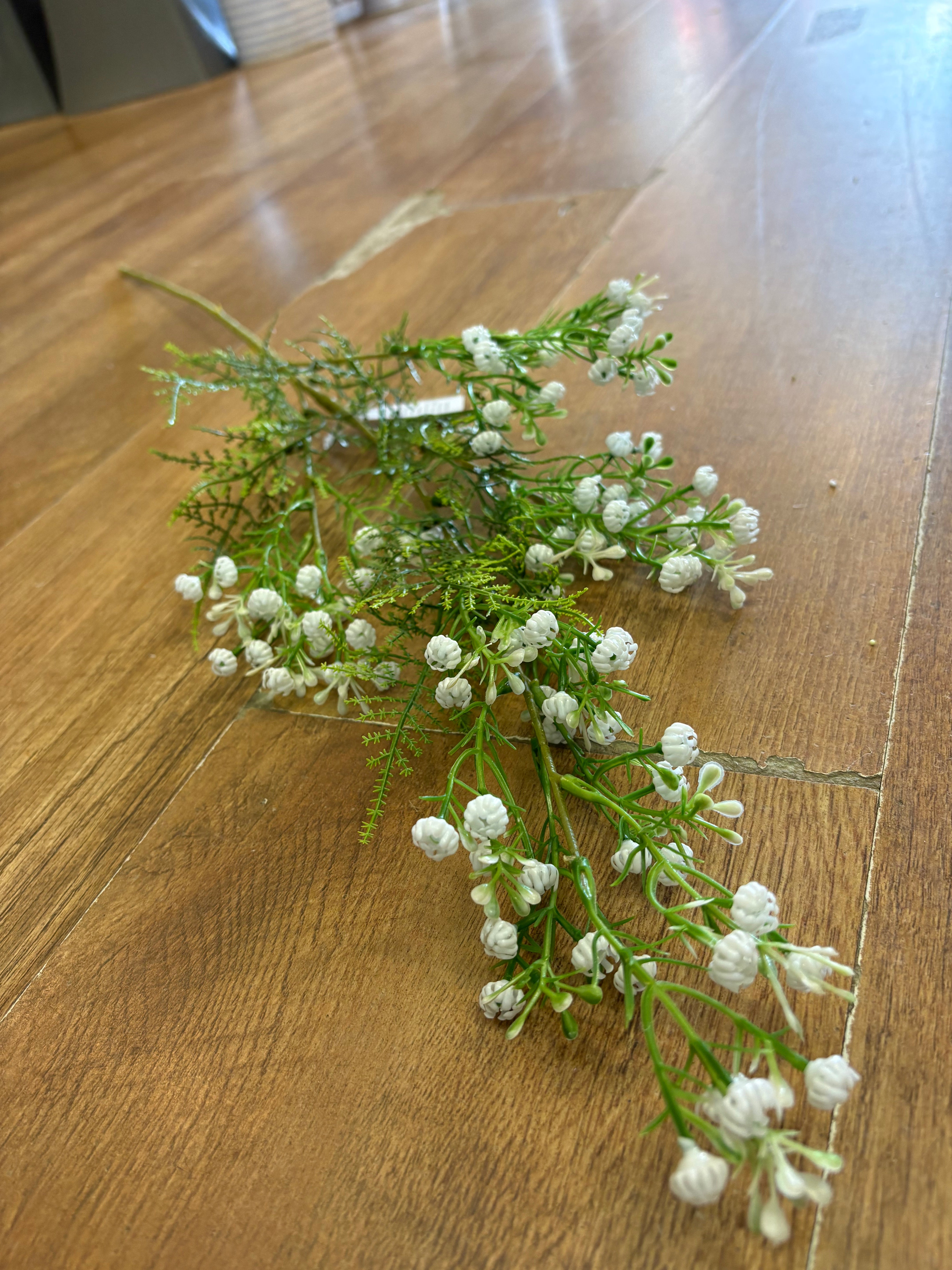Long stem white gypsophila and fern stem