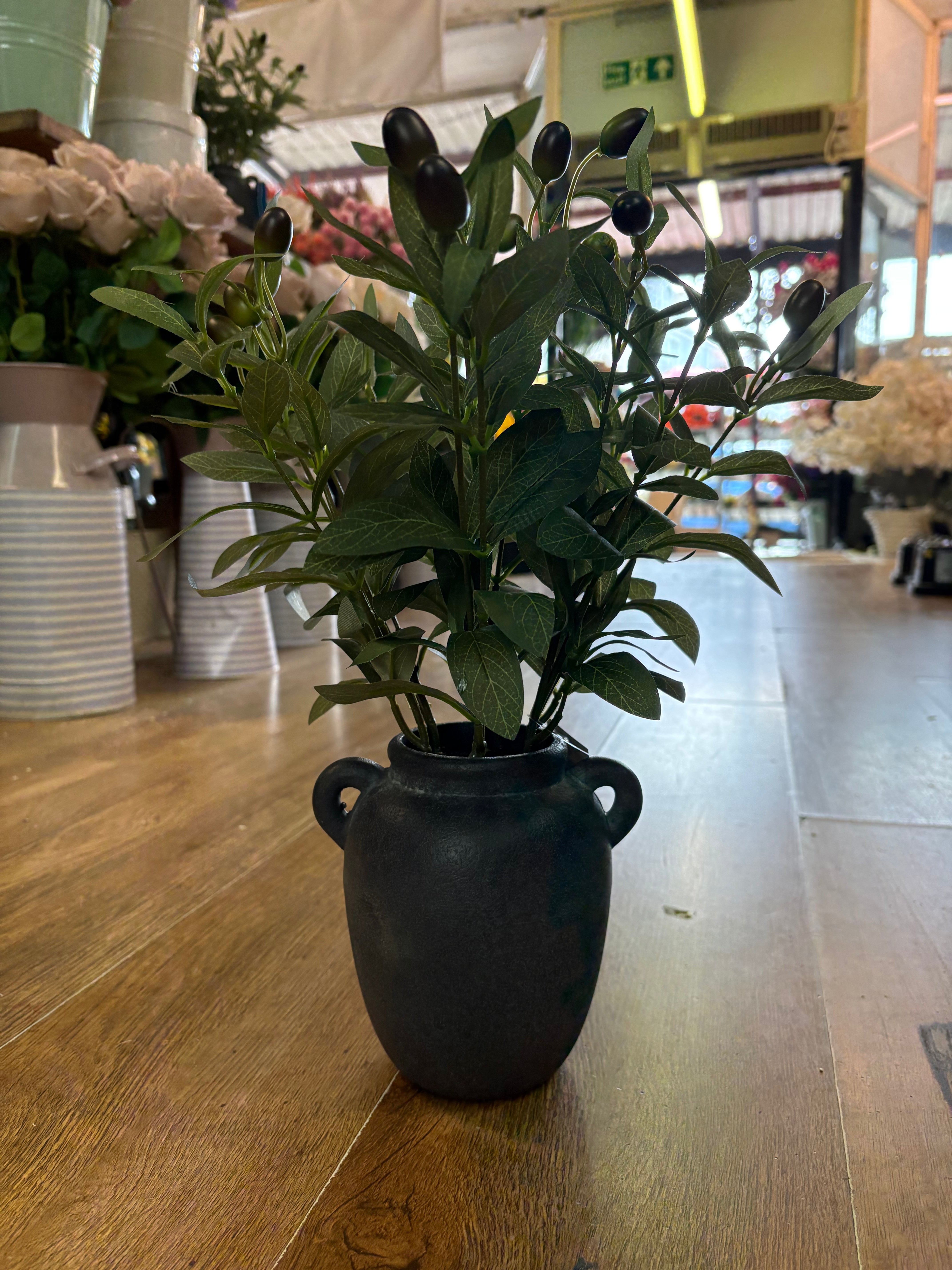 43cm olive branch display in black ceramic pot
