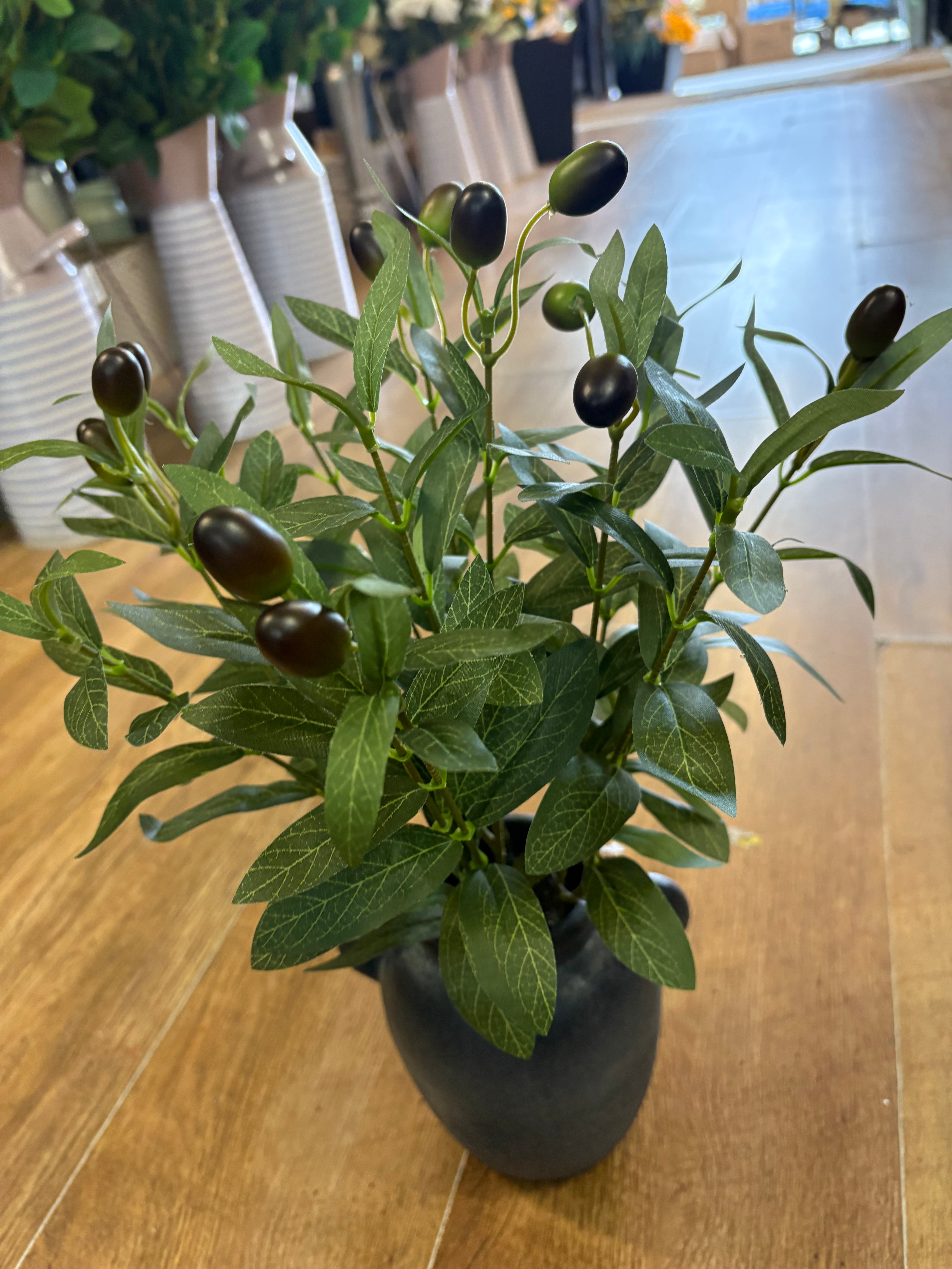 43cm olive branch display in black ceramic pot