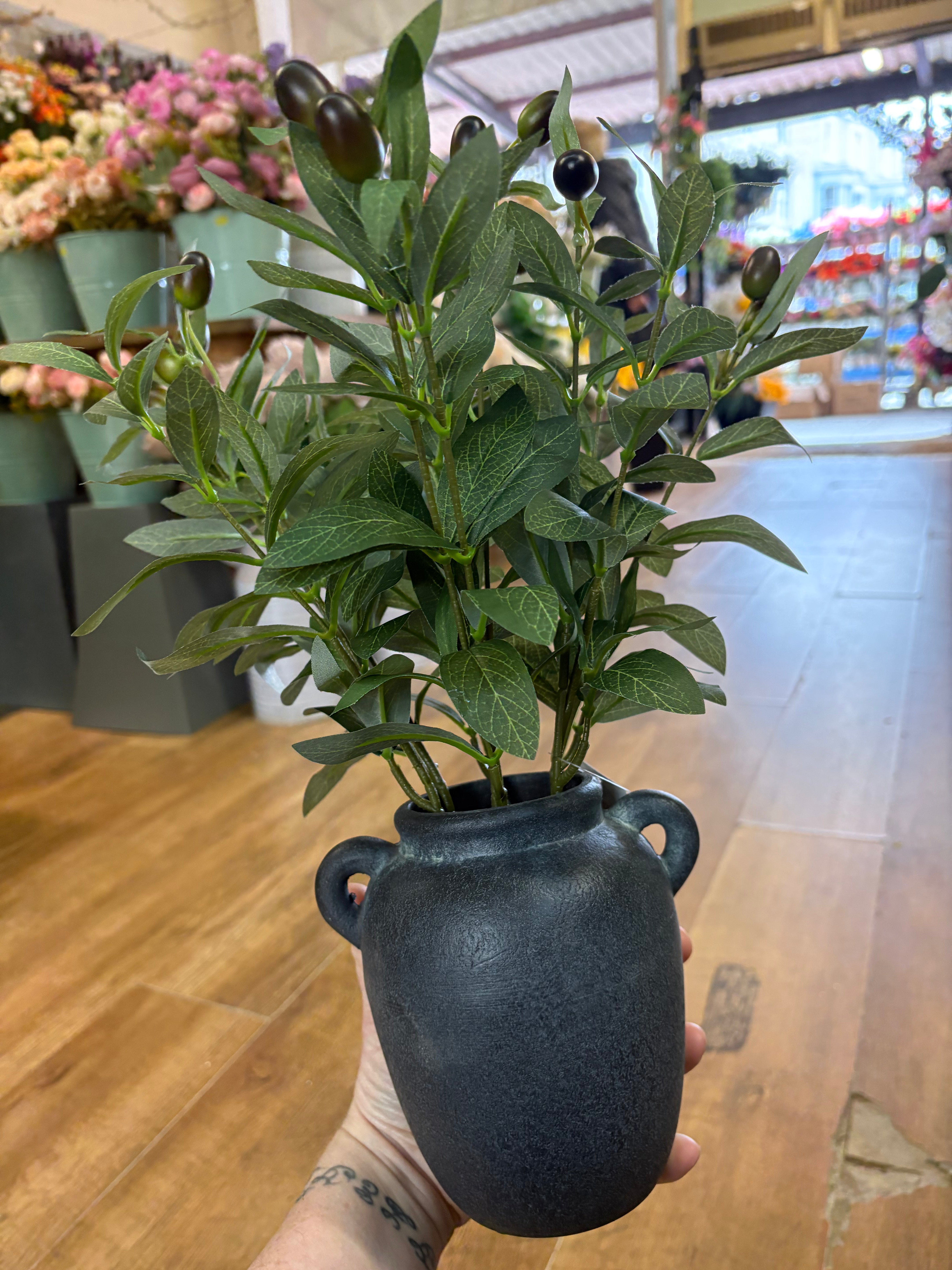 43cm olive branch display in black ceramic pot