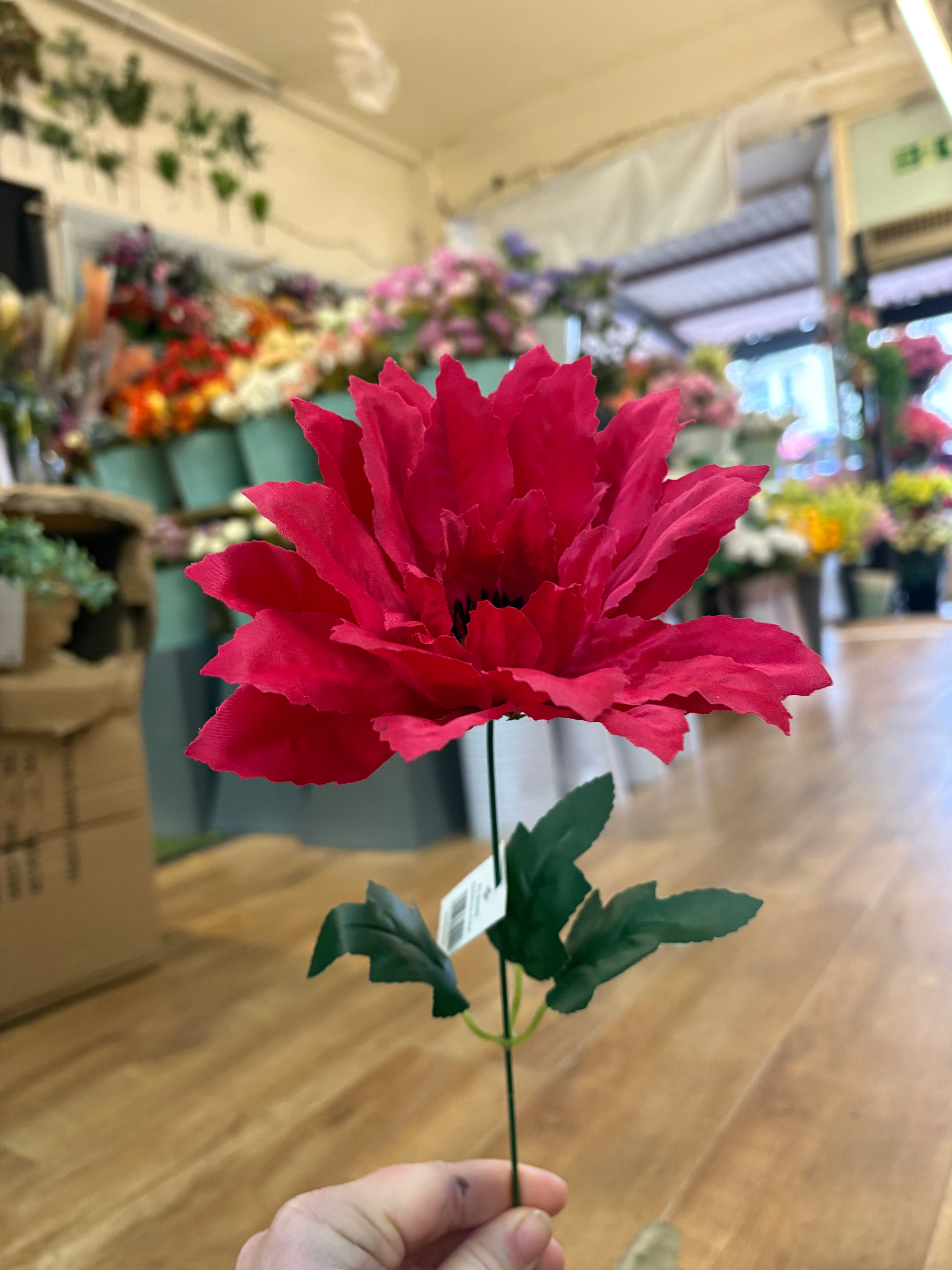 Single wild gerbera - 4 colours available
