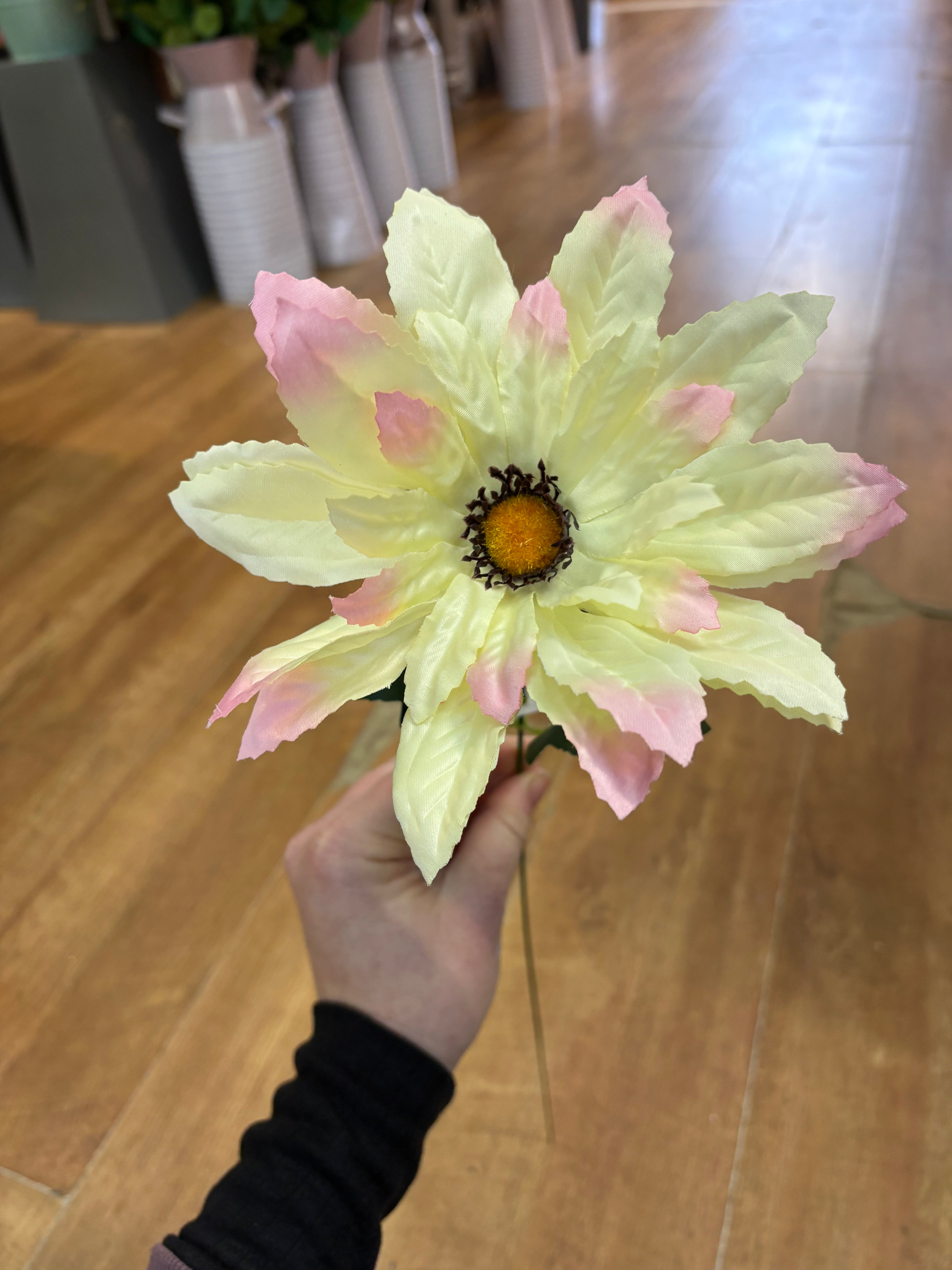 Single wild gerbera - 4 colours available