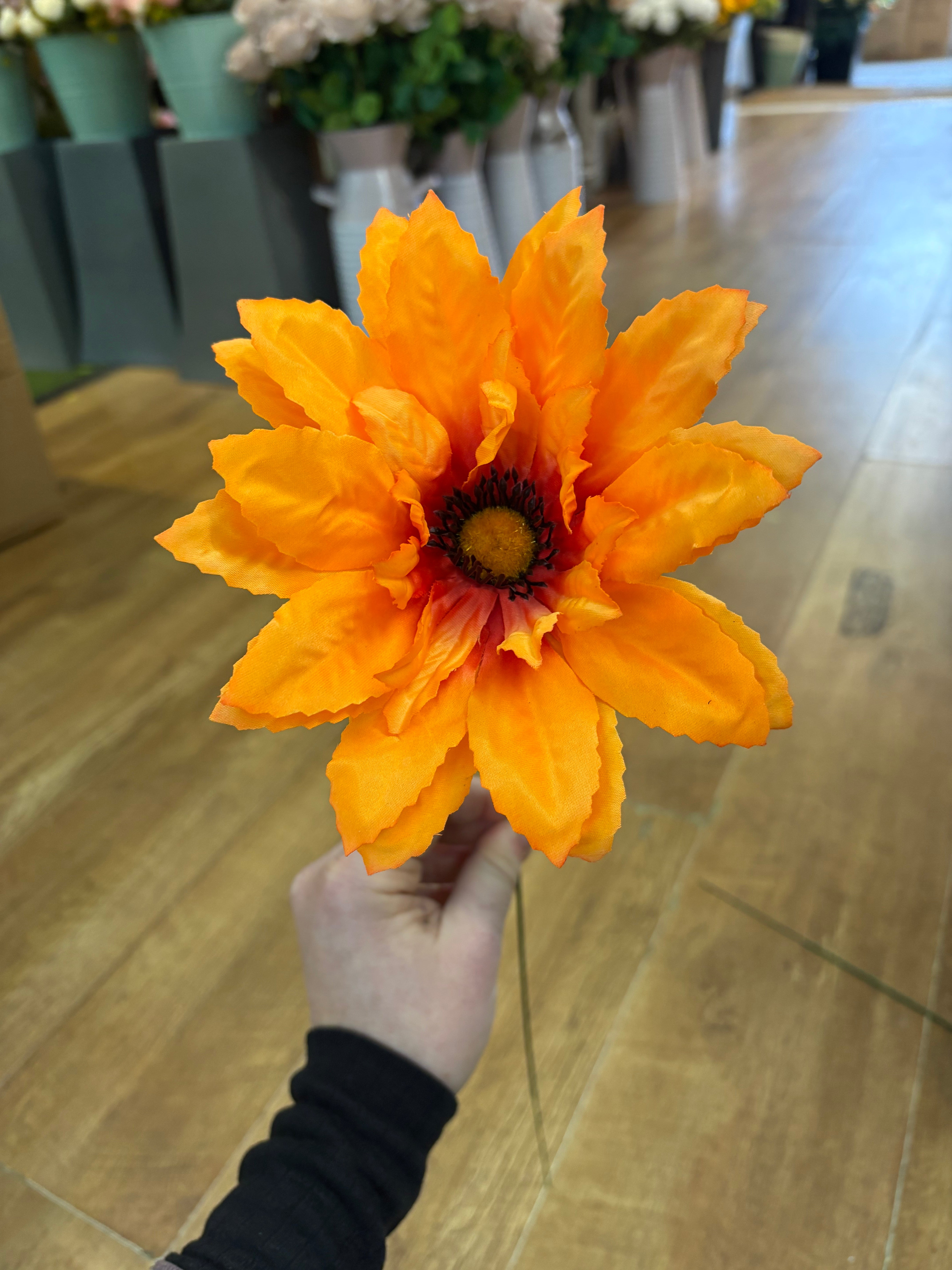 Single wild gerbera - 4 colours available