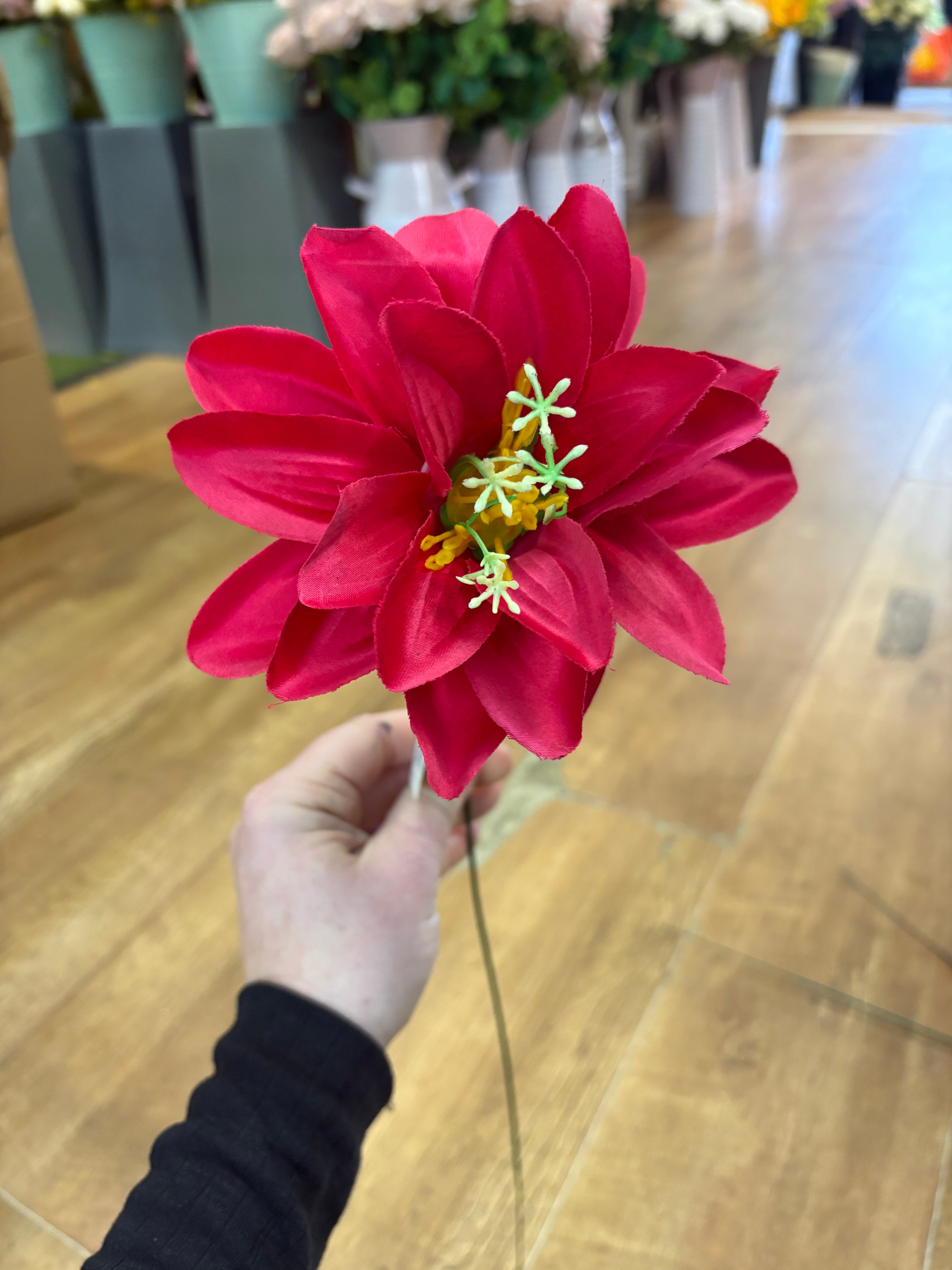 Single exotic stem - 4 colours available