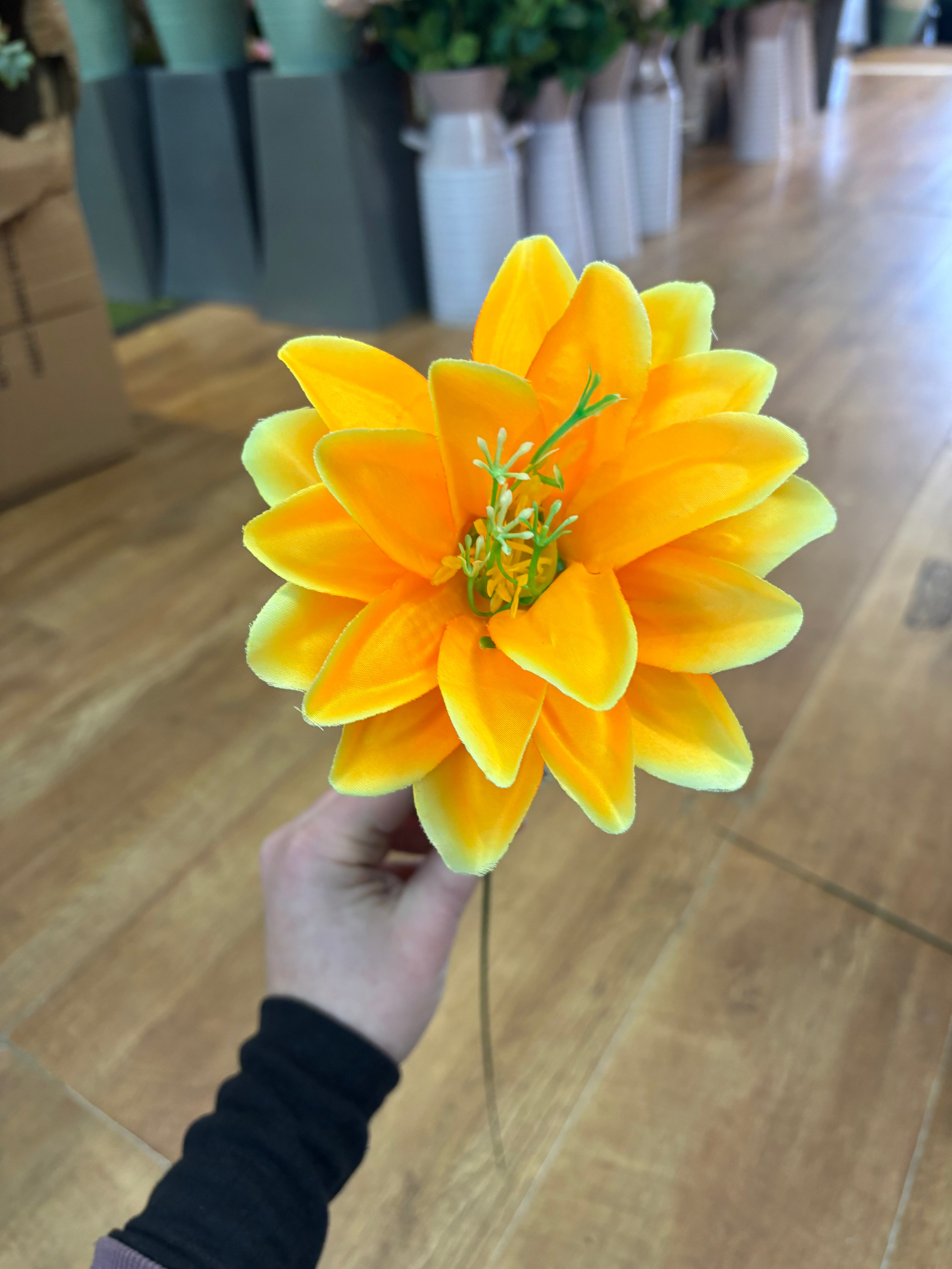 Single exotic stem - 4 colours available