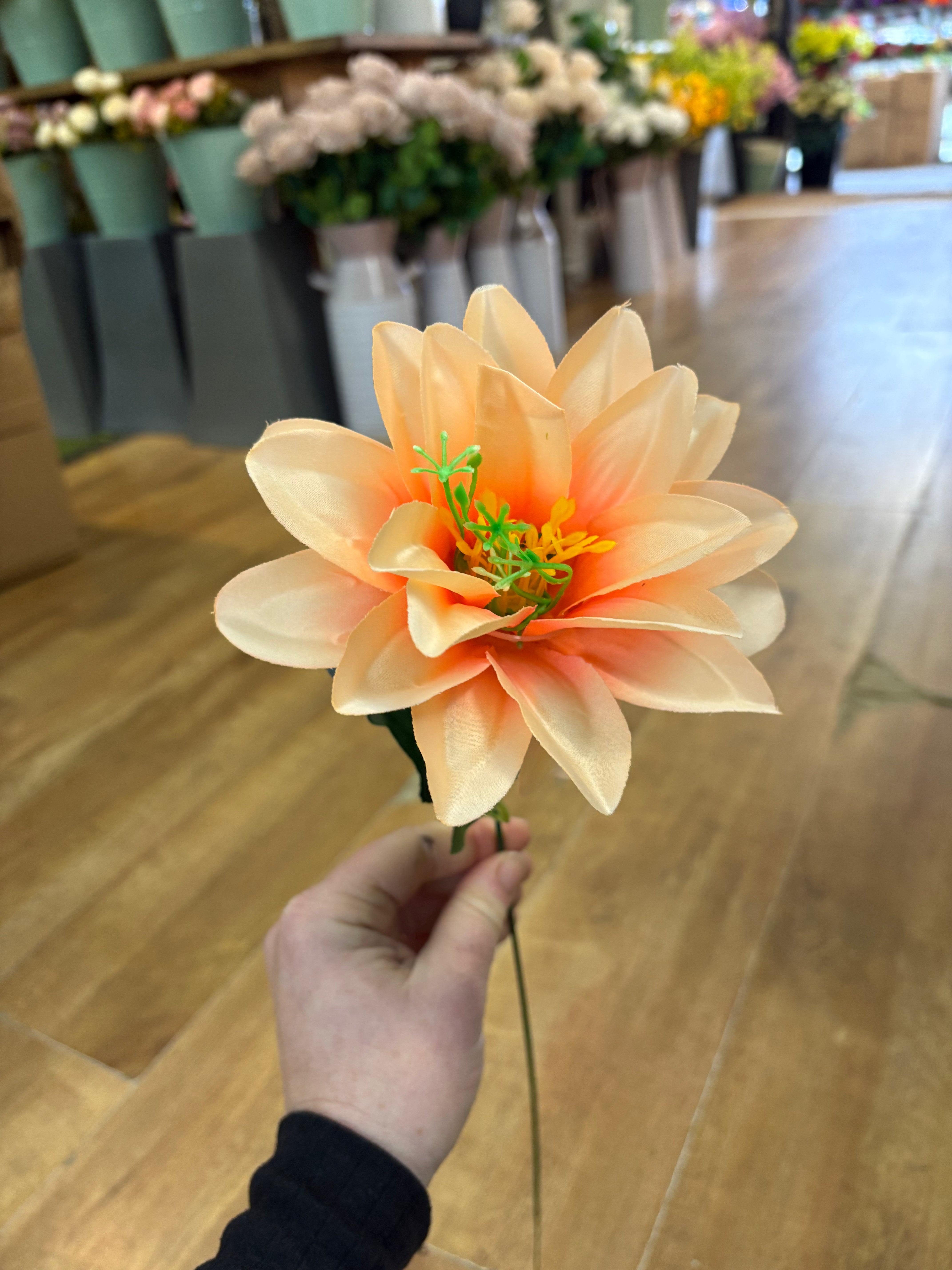 Single exotic stem - 4 colours available