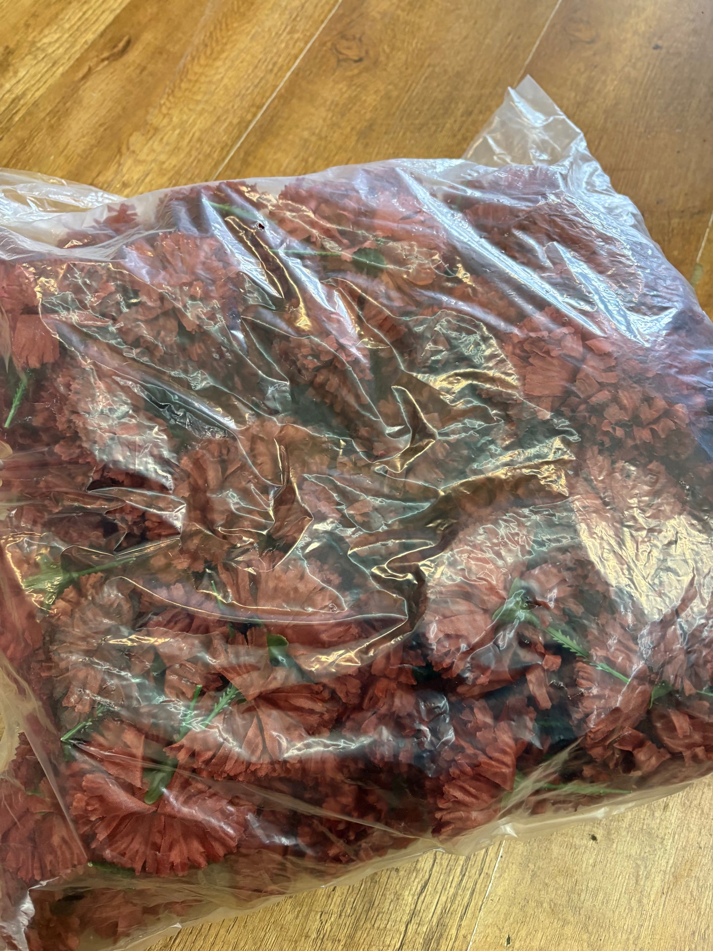 Bag of 144 brown carnation picks
