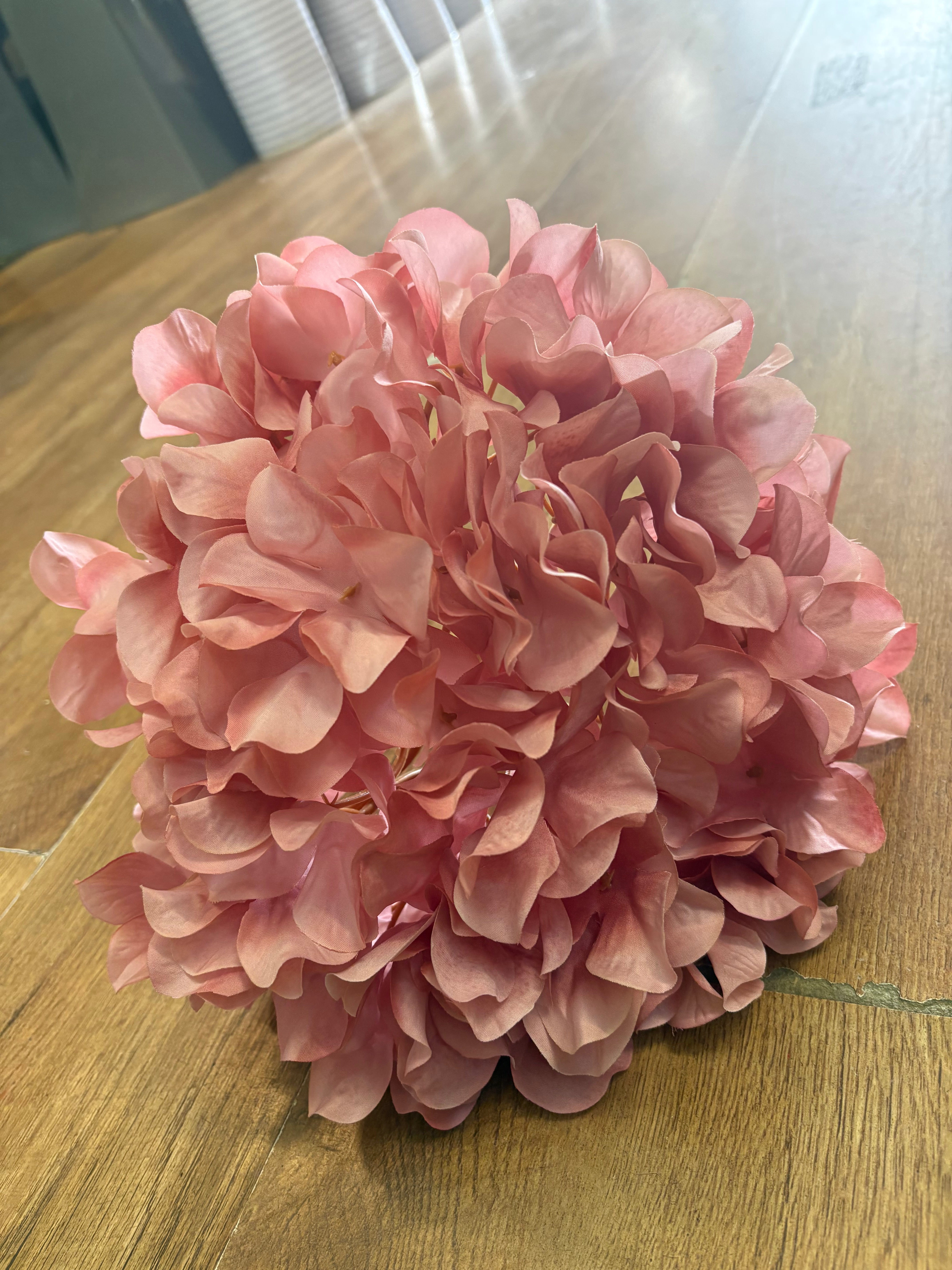 75cm tall blush pink large hydrangea