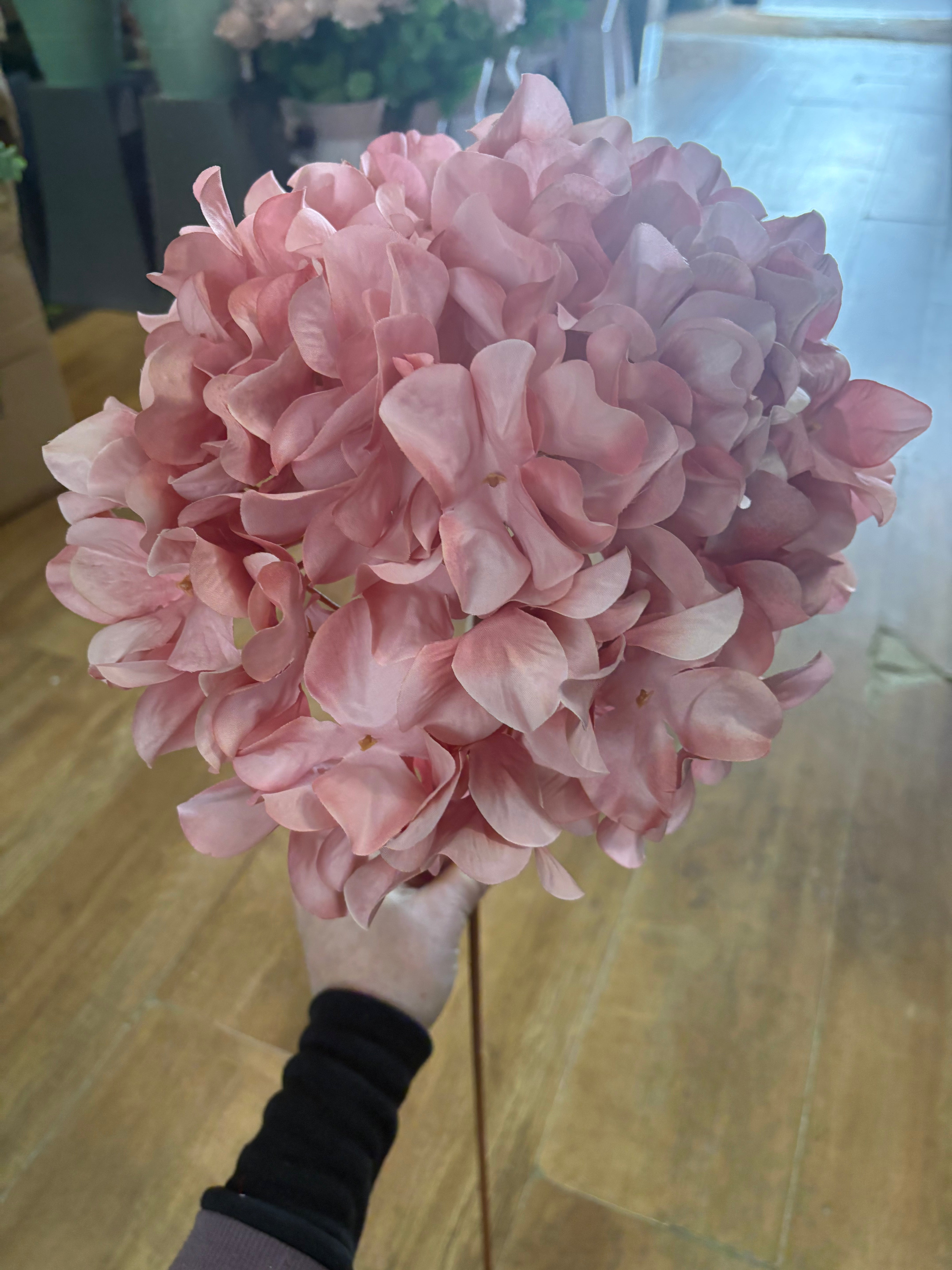 75cm tall blush pink large hydrangea