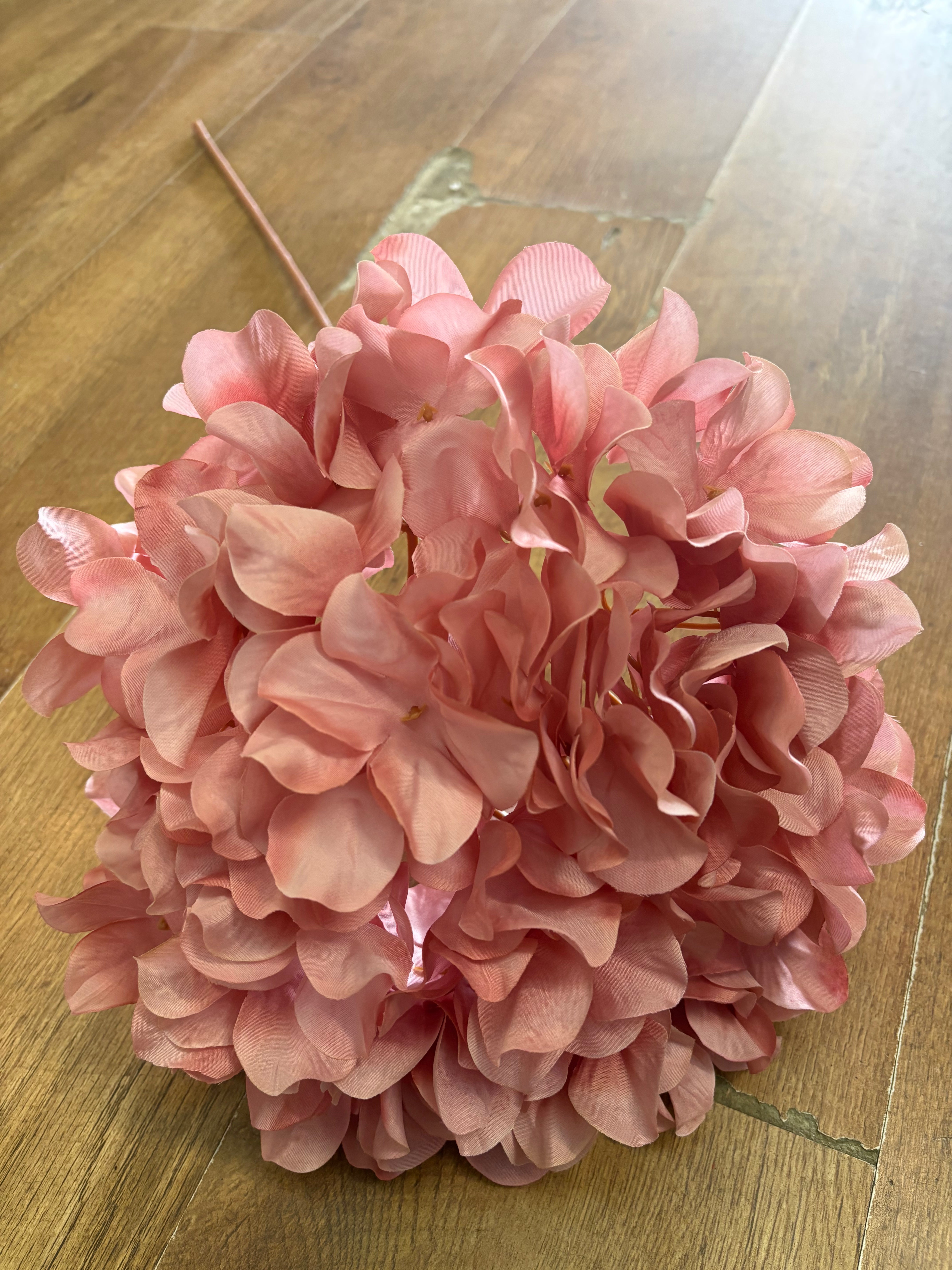 75cm tall blush pink large hydrangea