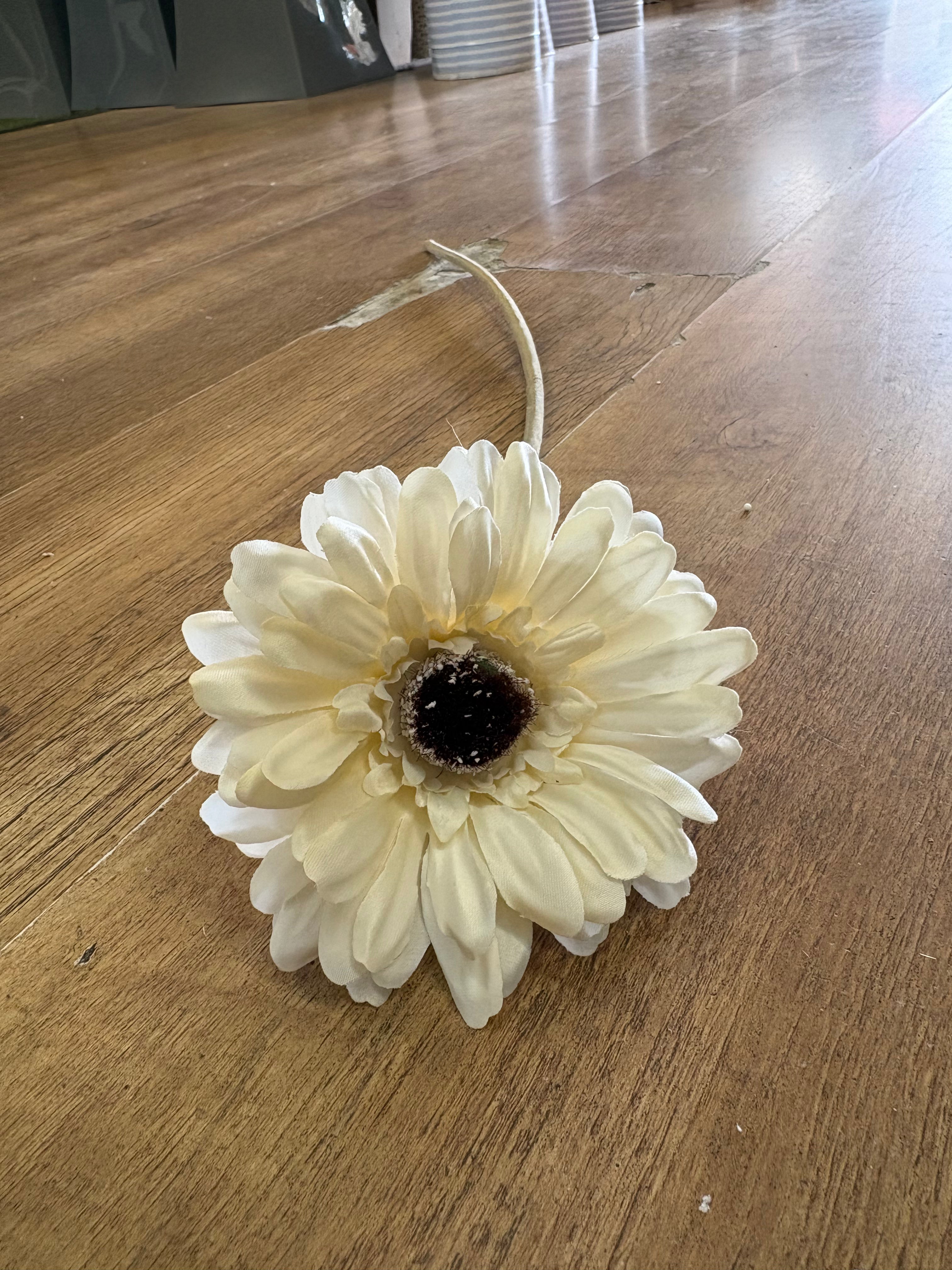 Single cream gerbera