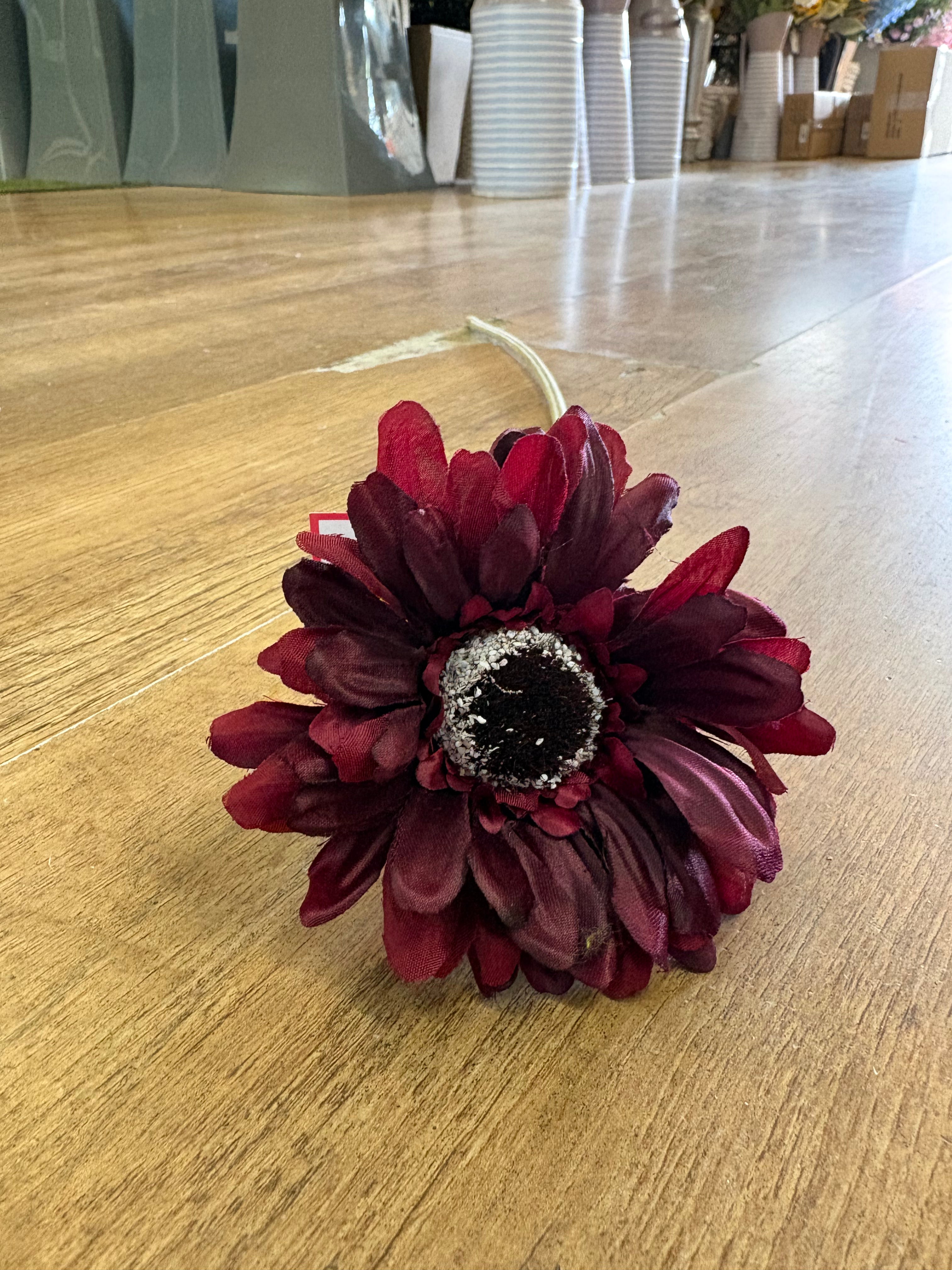 Single burgundy gerbera