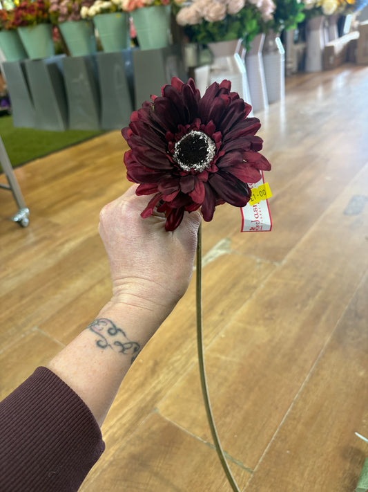 Single burgundy gerbera