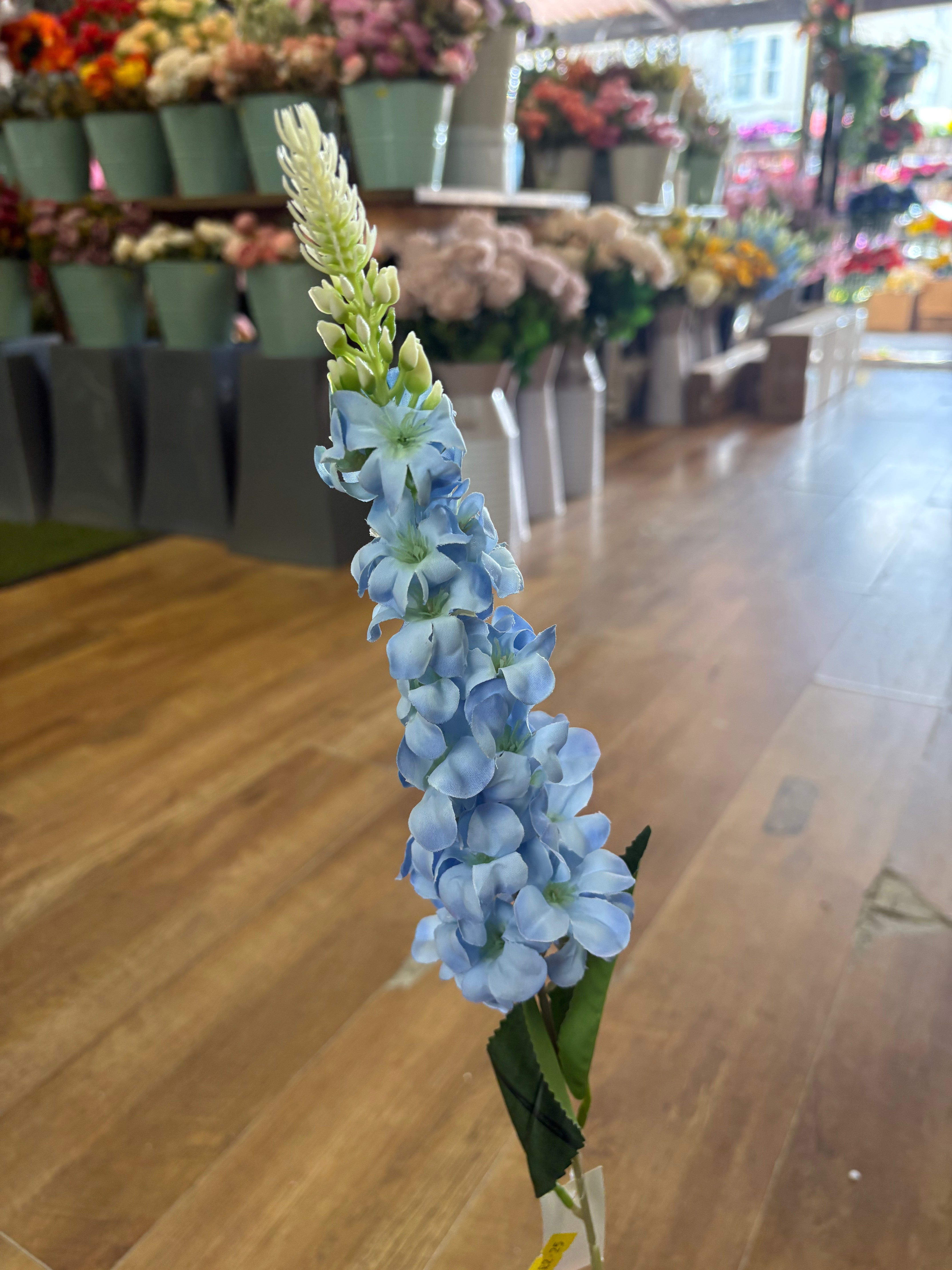 Single delphinium - 5 colours available