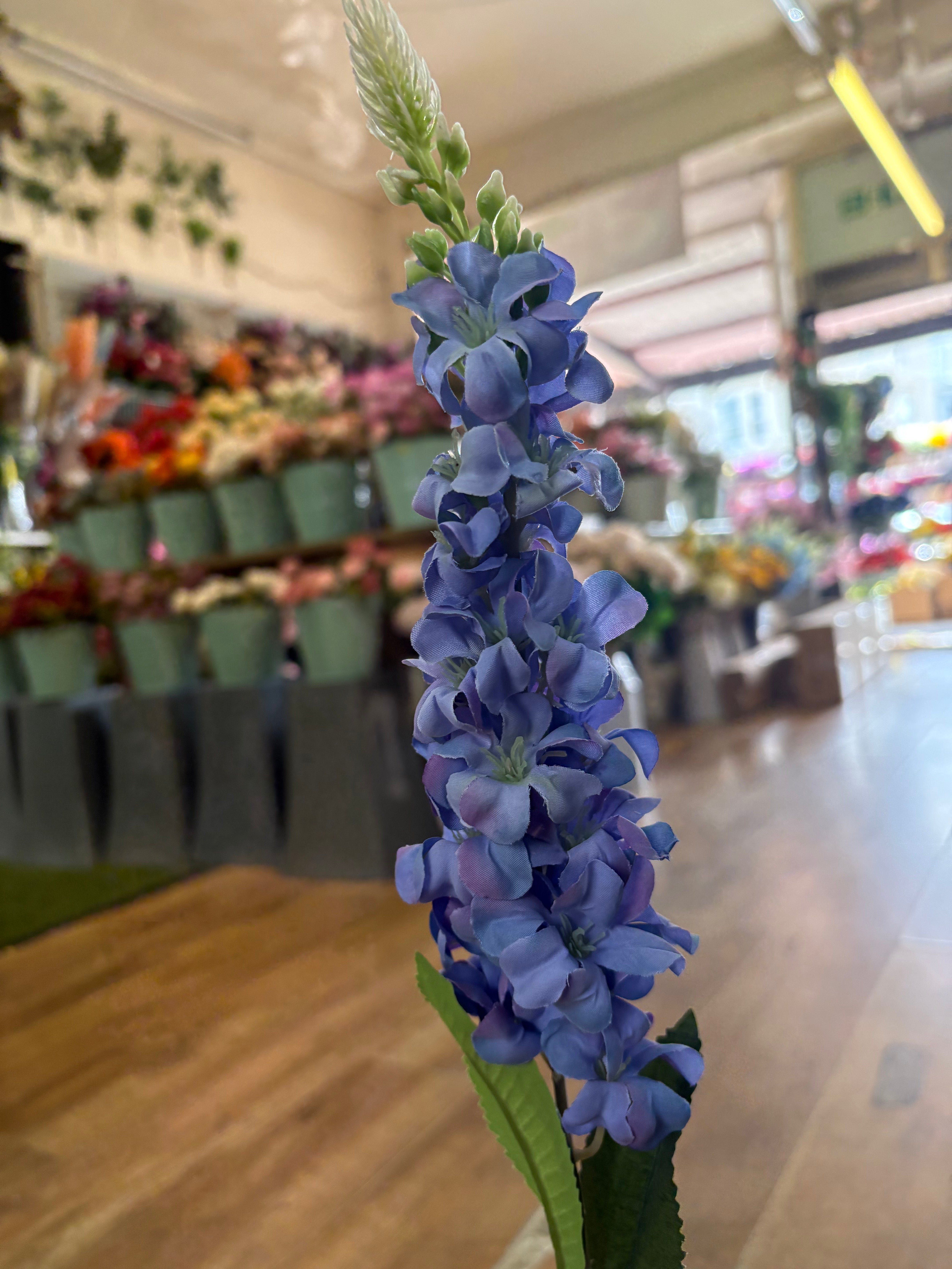 Single delphinium - 5 colours available