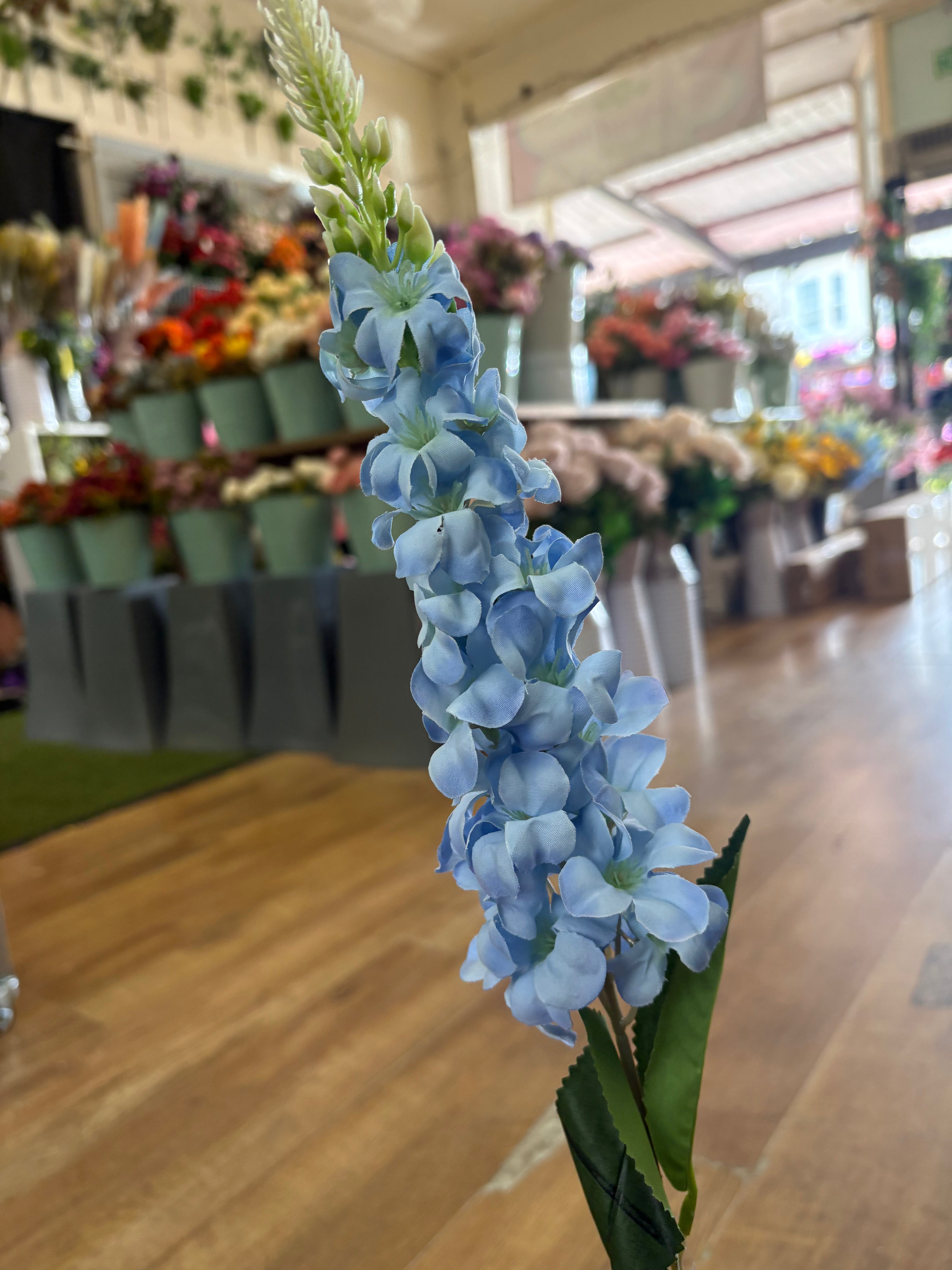 Single delphinium - 5 colours available