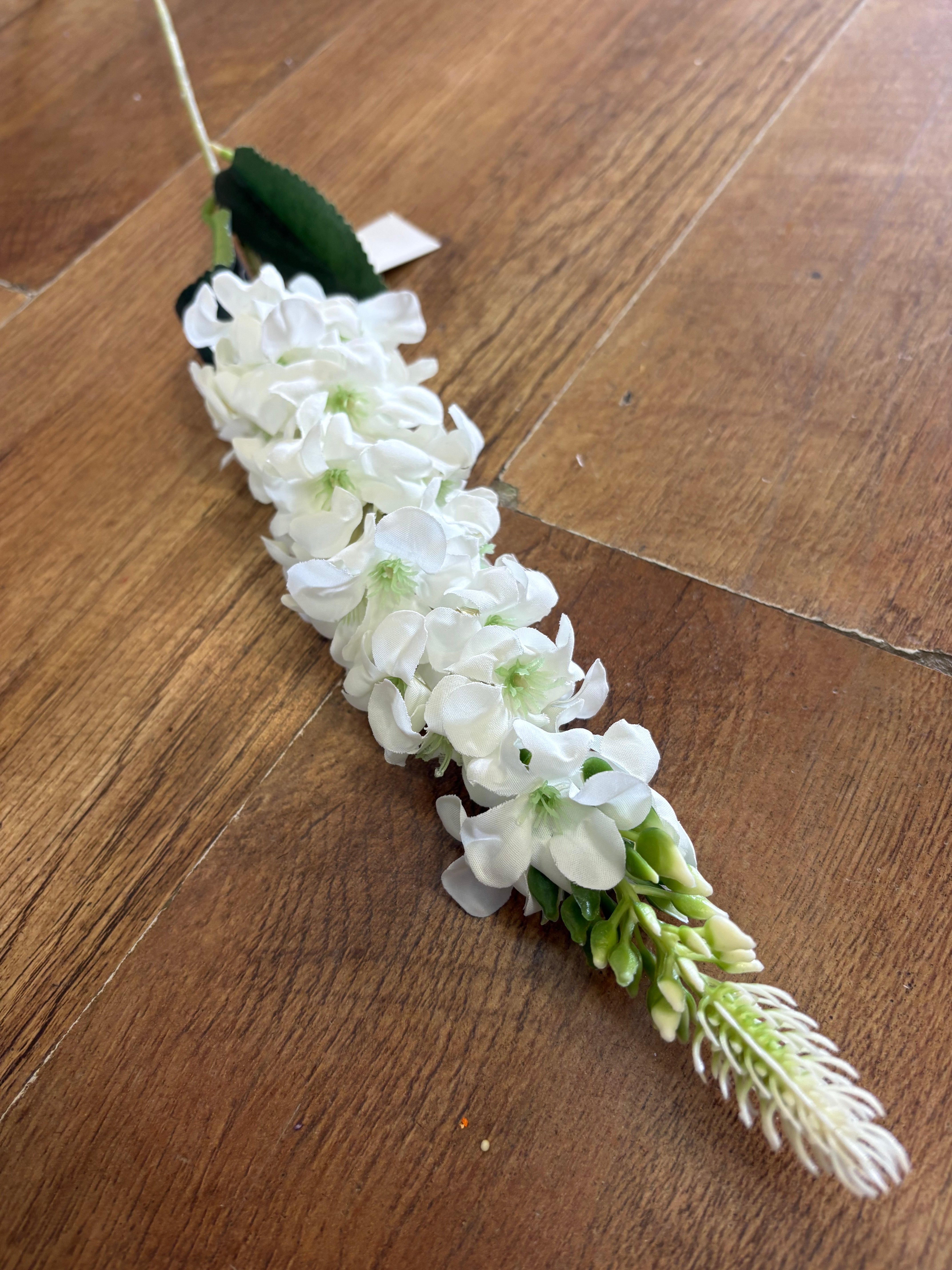 Single delphinium - 5 colours available