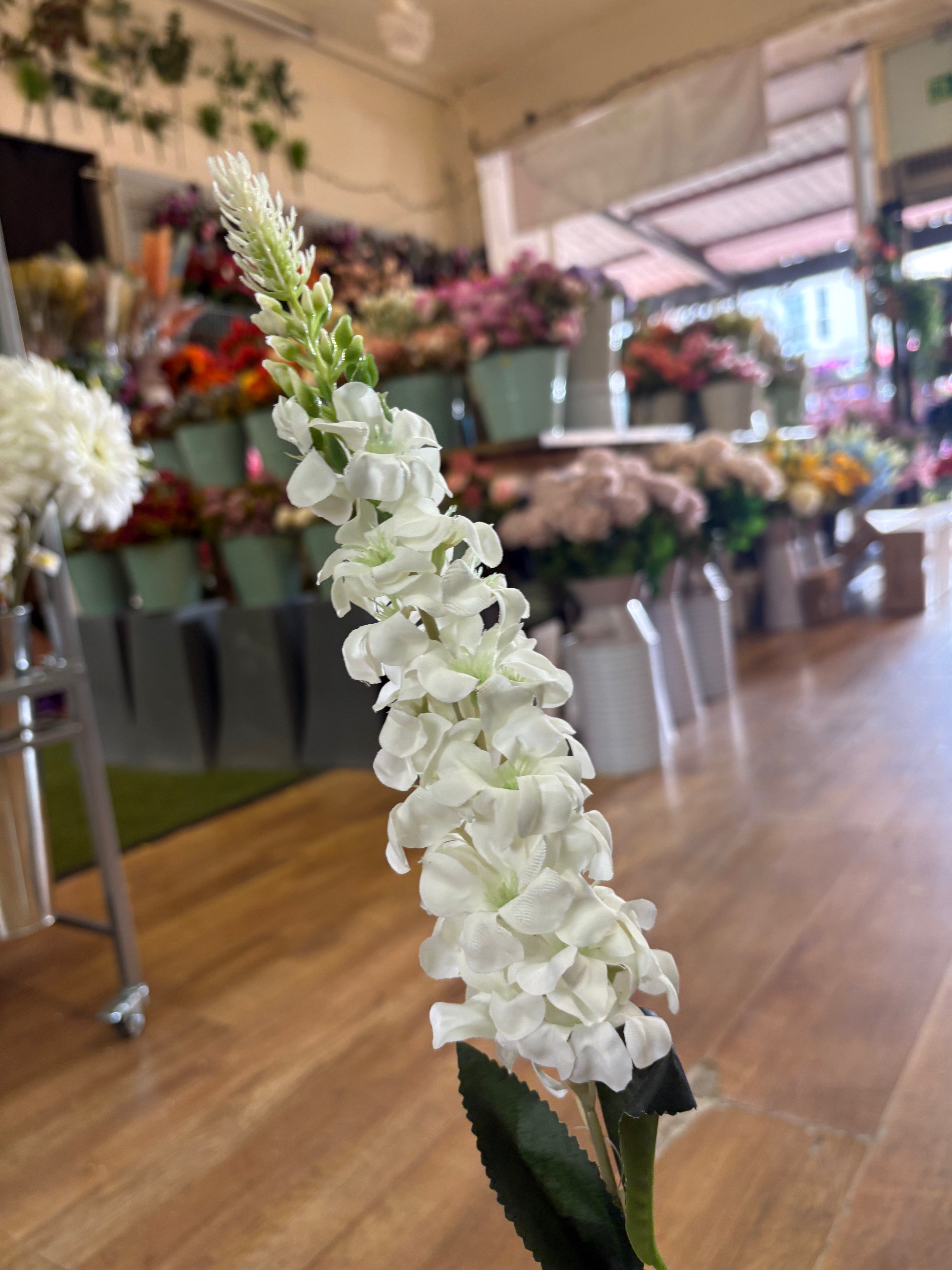 Single delphinium - 5 colours available