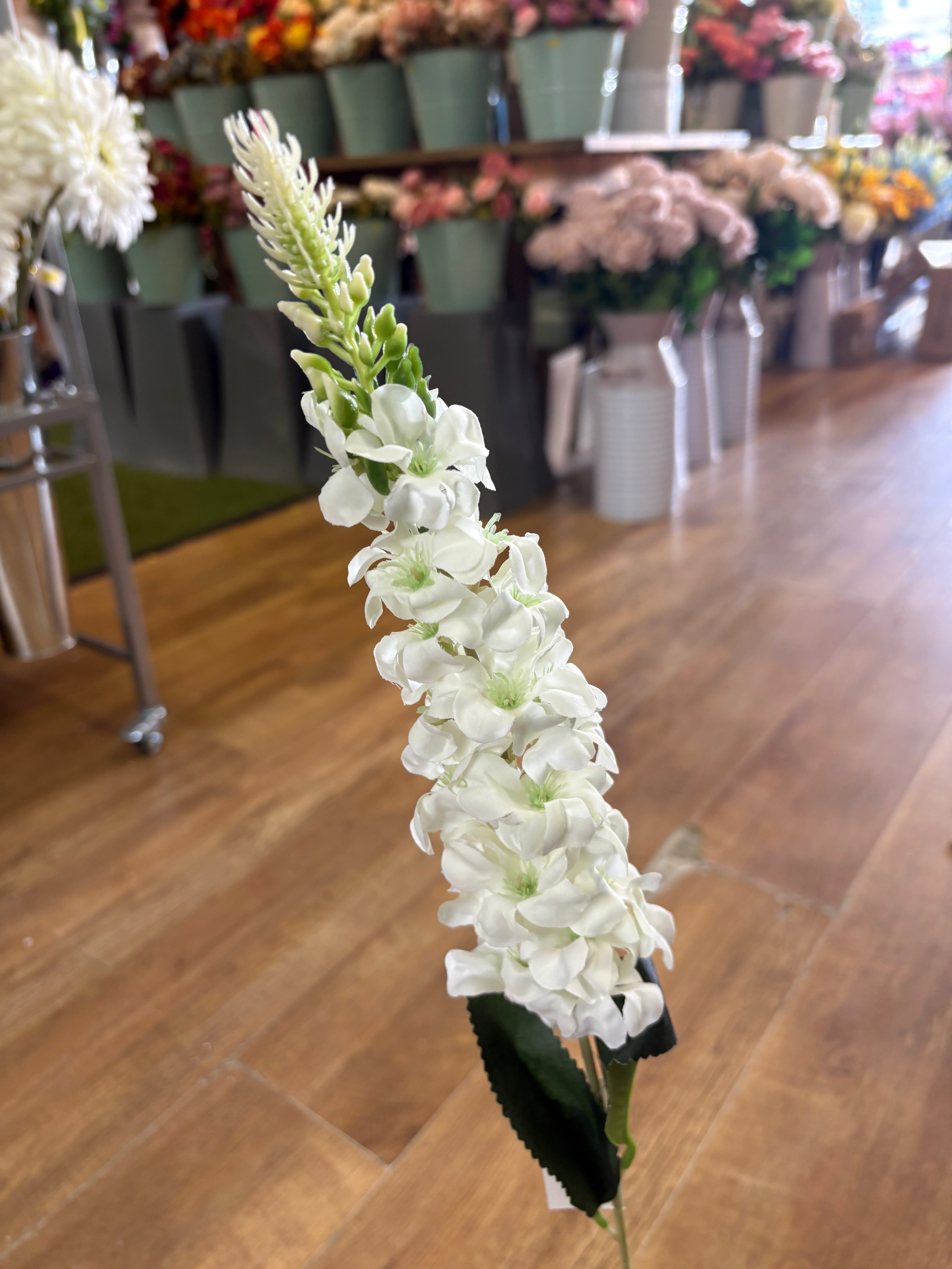 Single delphinium - 5 colours available