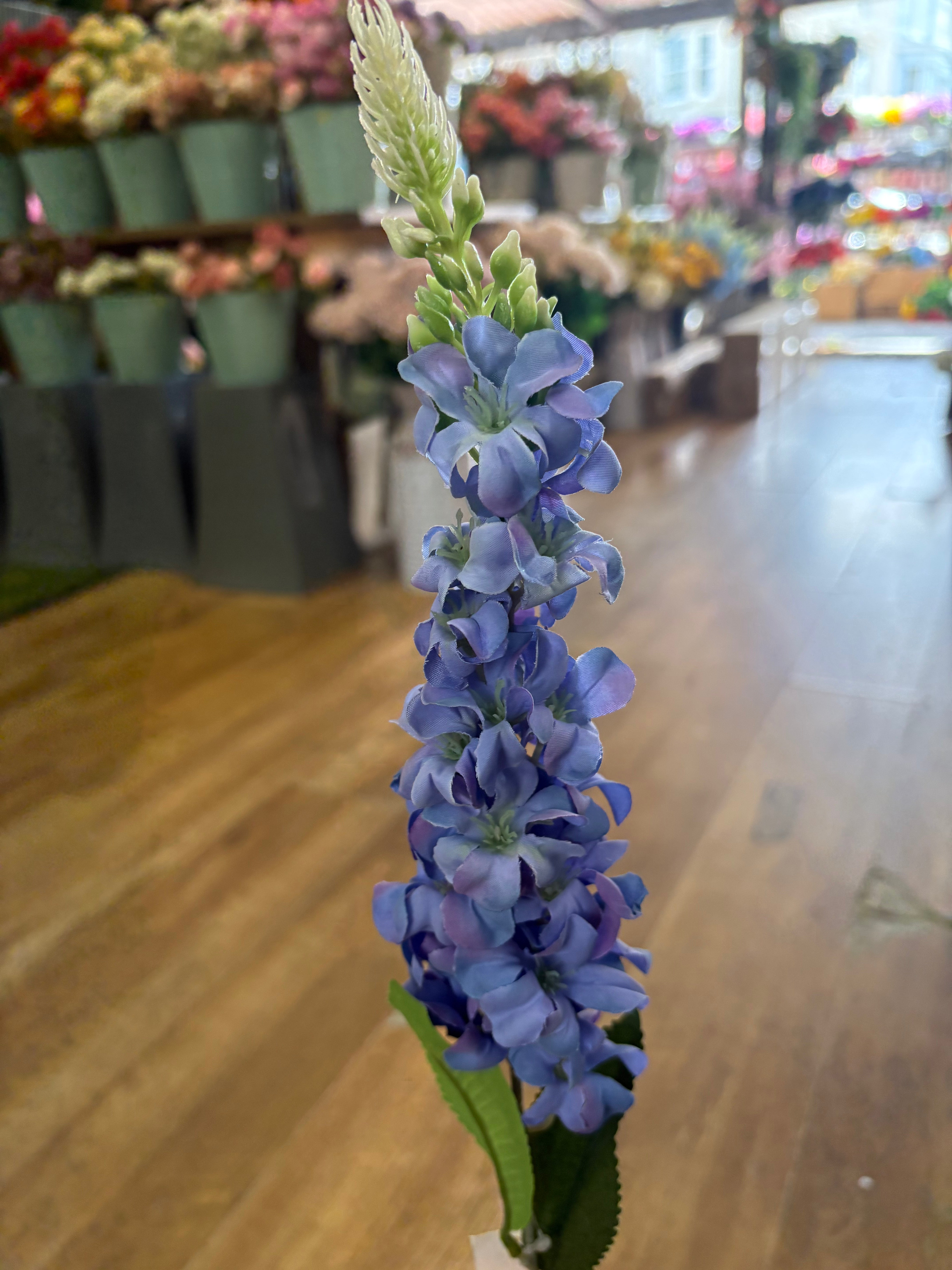 Single delphinium - 5 colours available