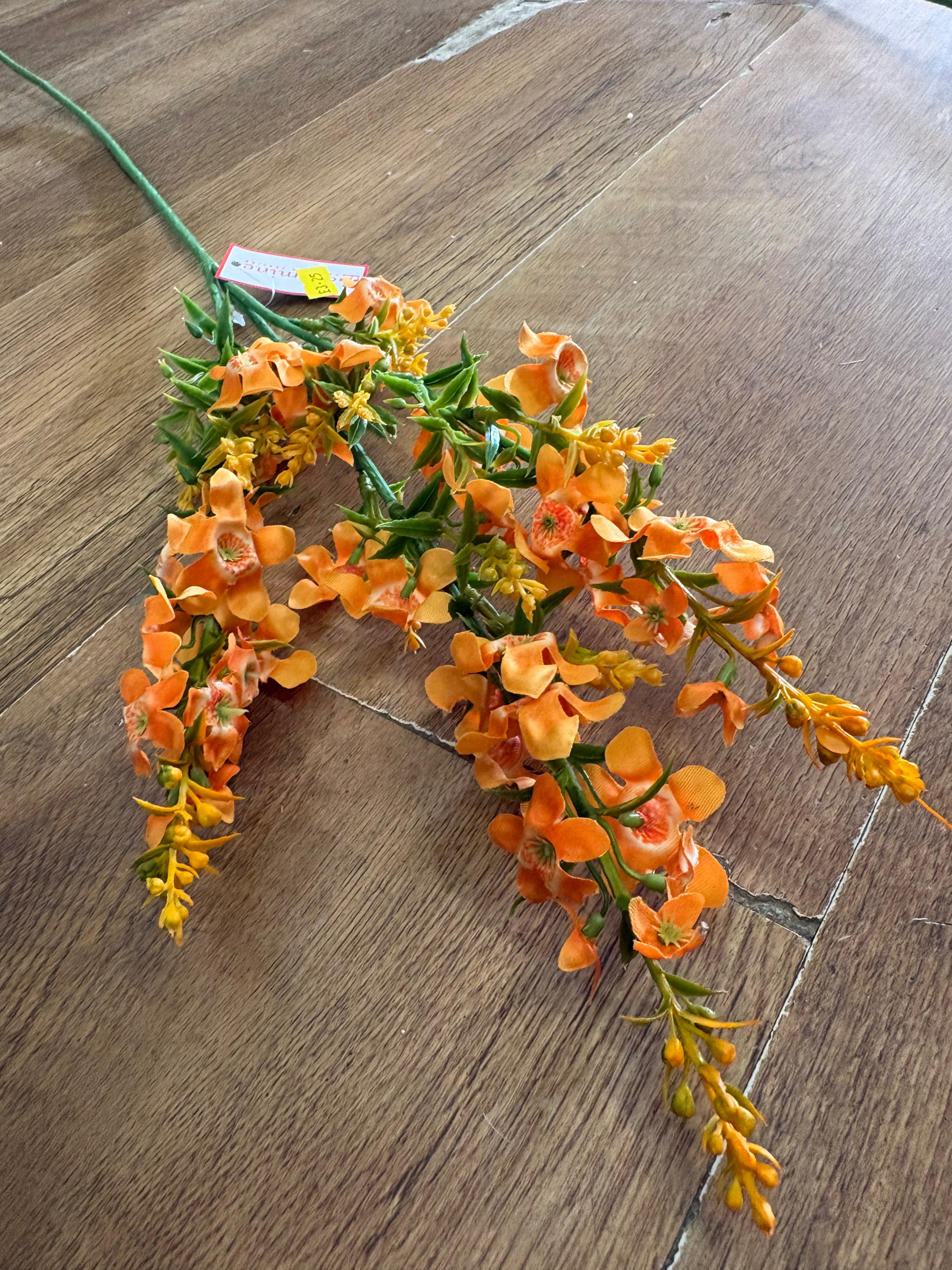 Long stem catmint - 4