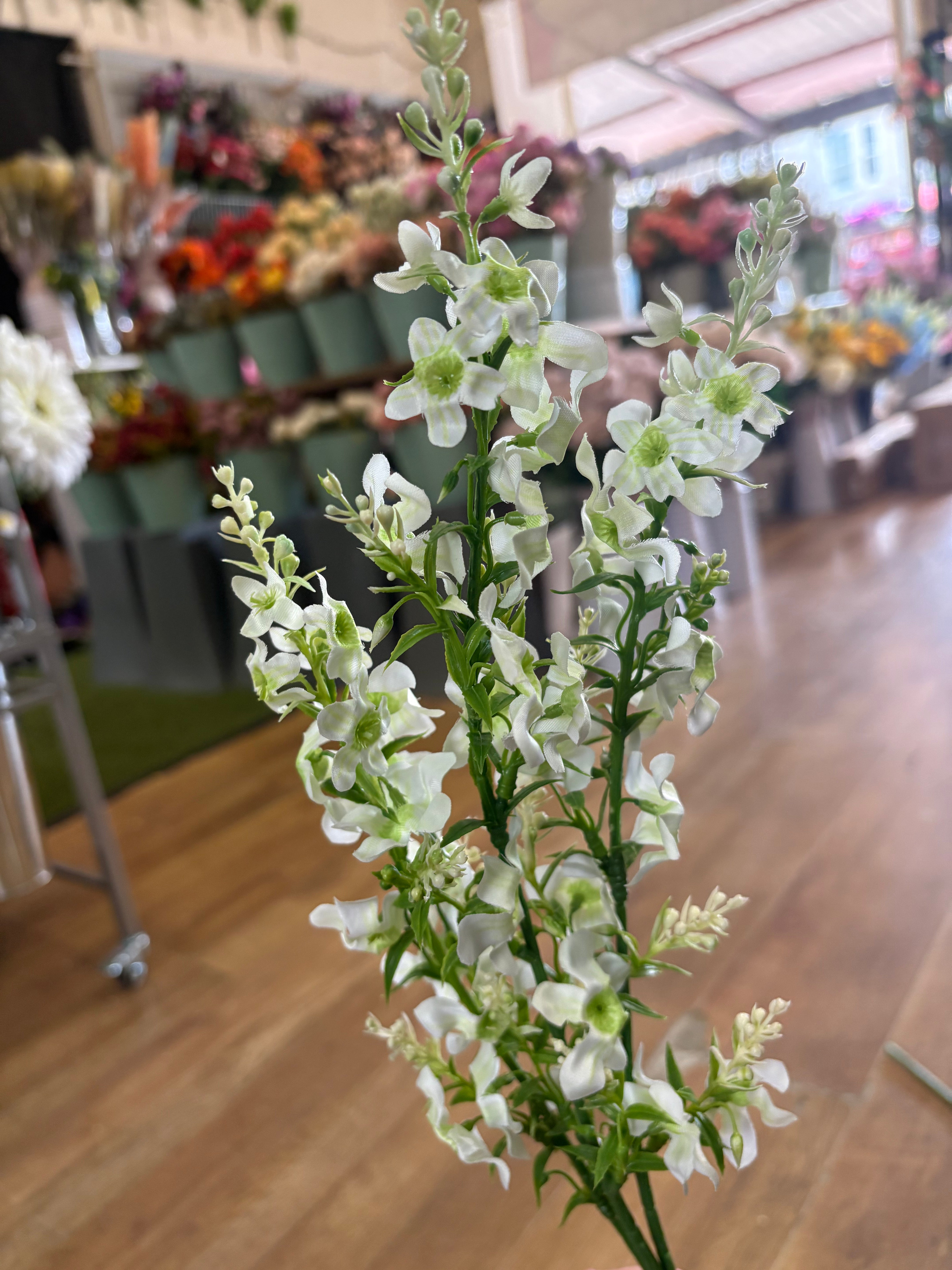 Long stem catmint - 4
