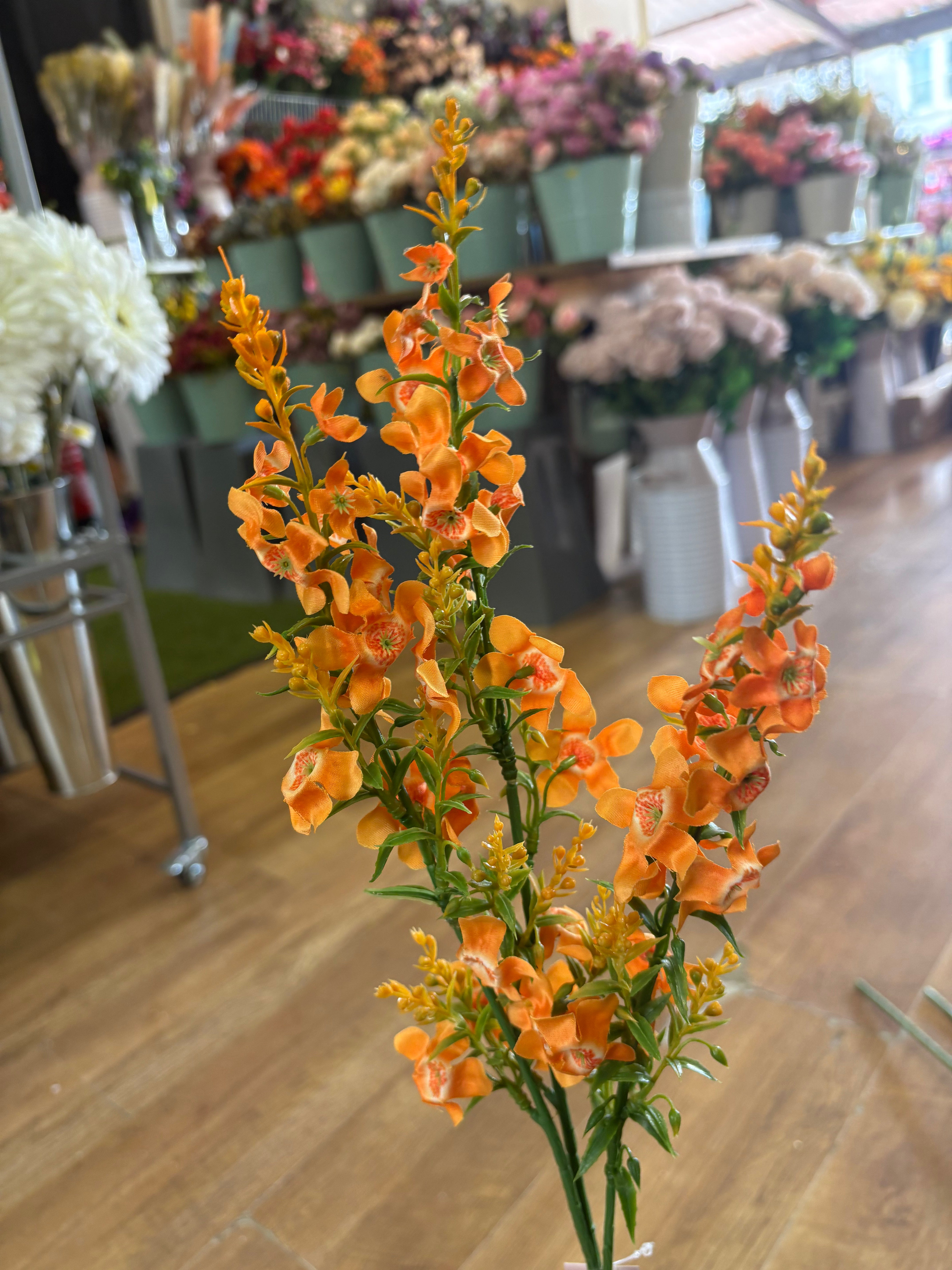 Long stem catmint - 4