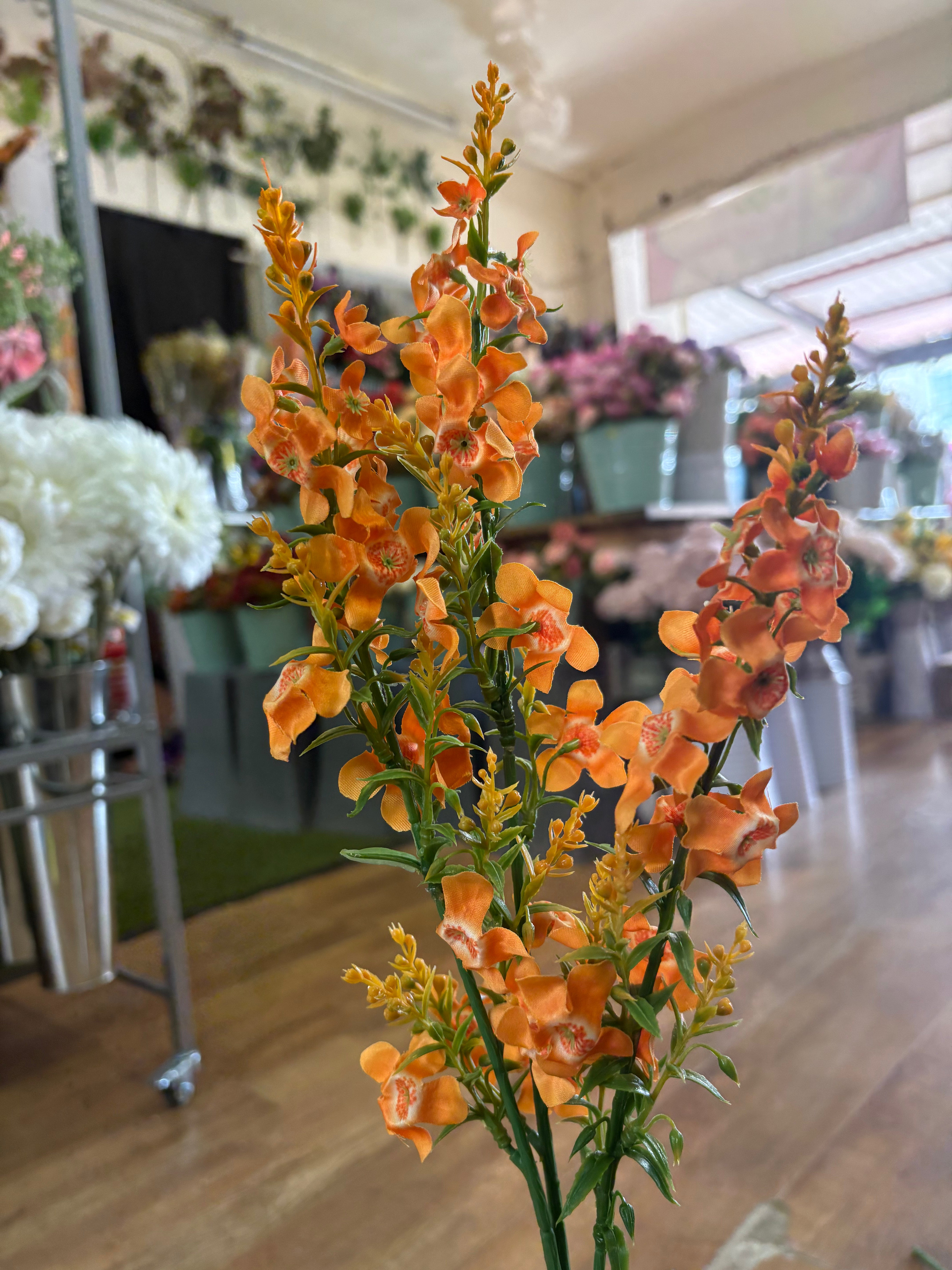 Long stem catmint - 4