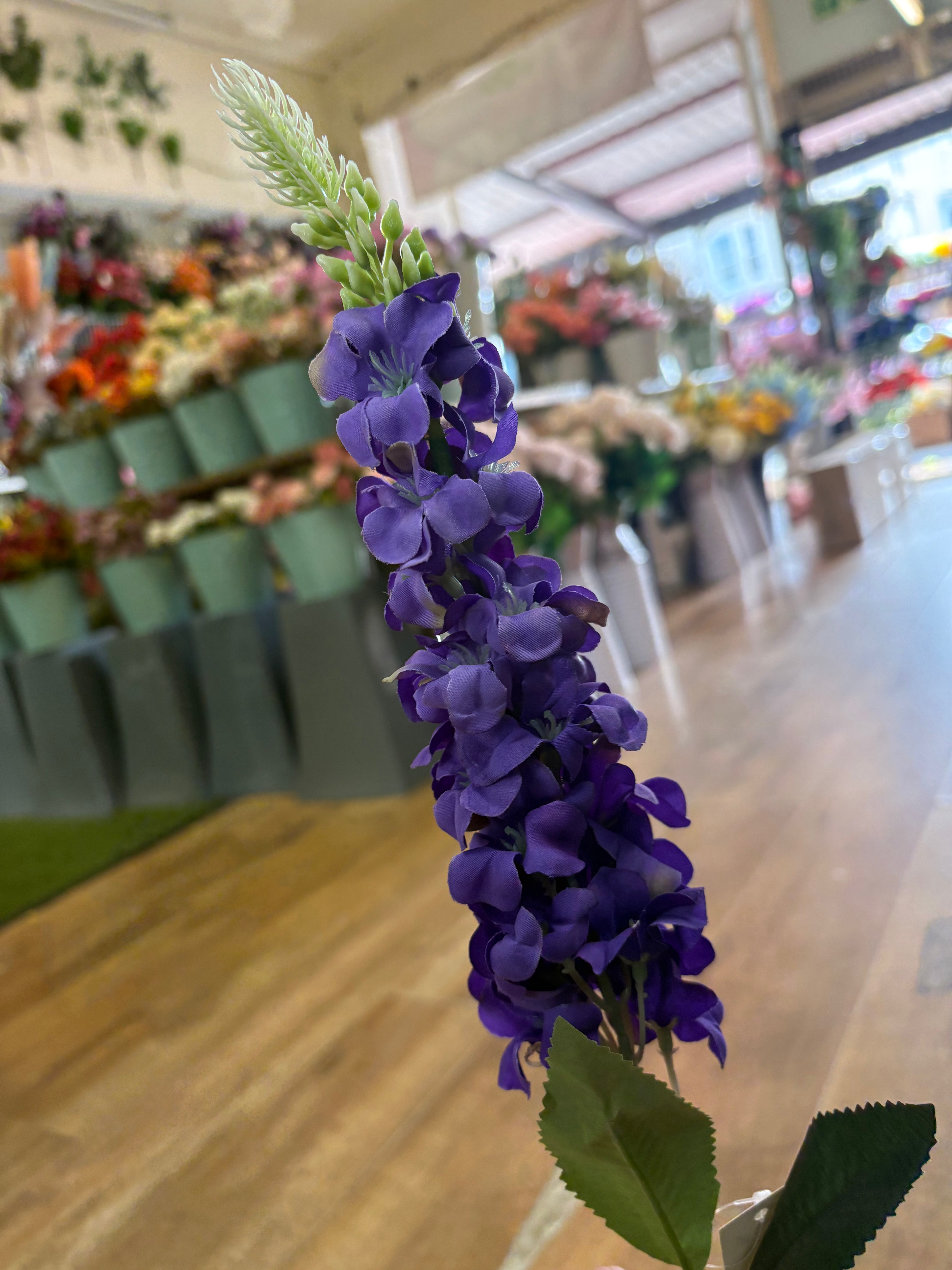 Single delphinium - 5 colours available