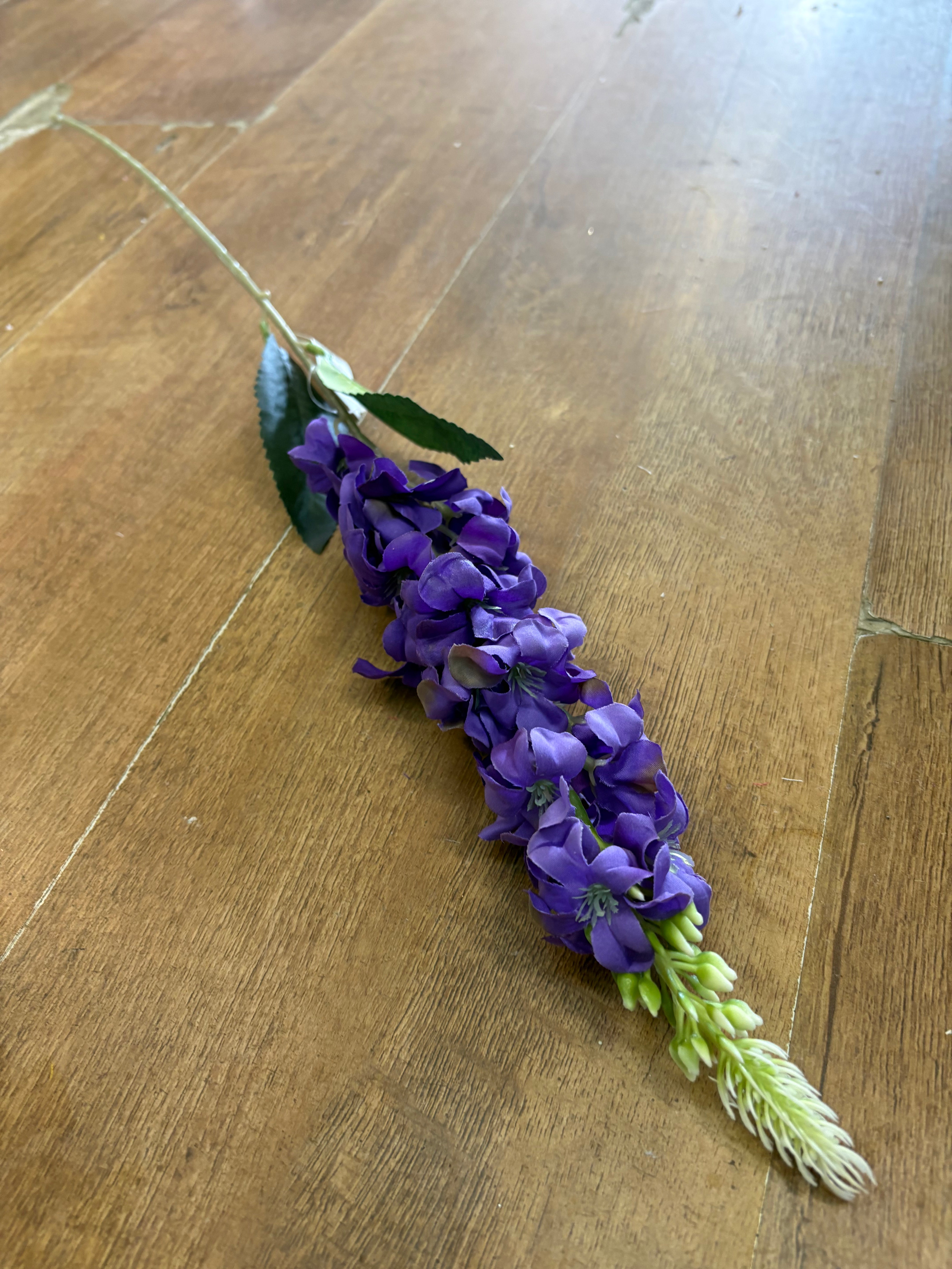 Single delphinium - 5 colours available