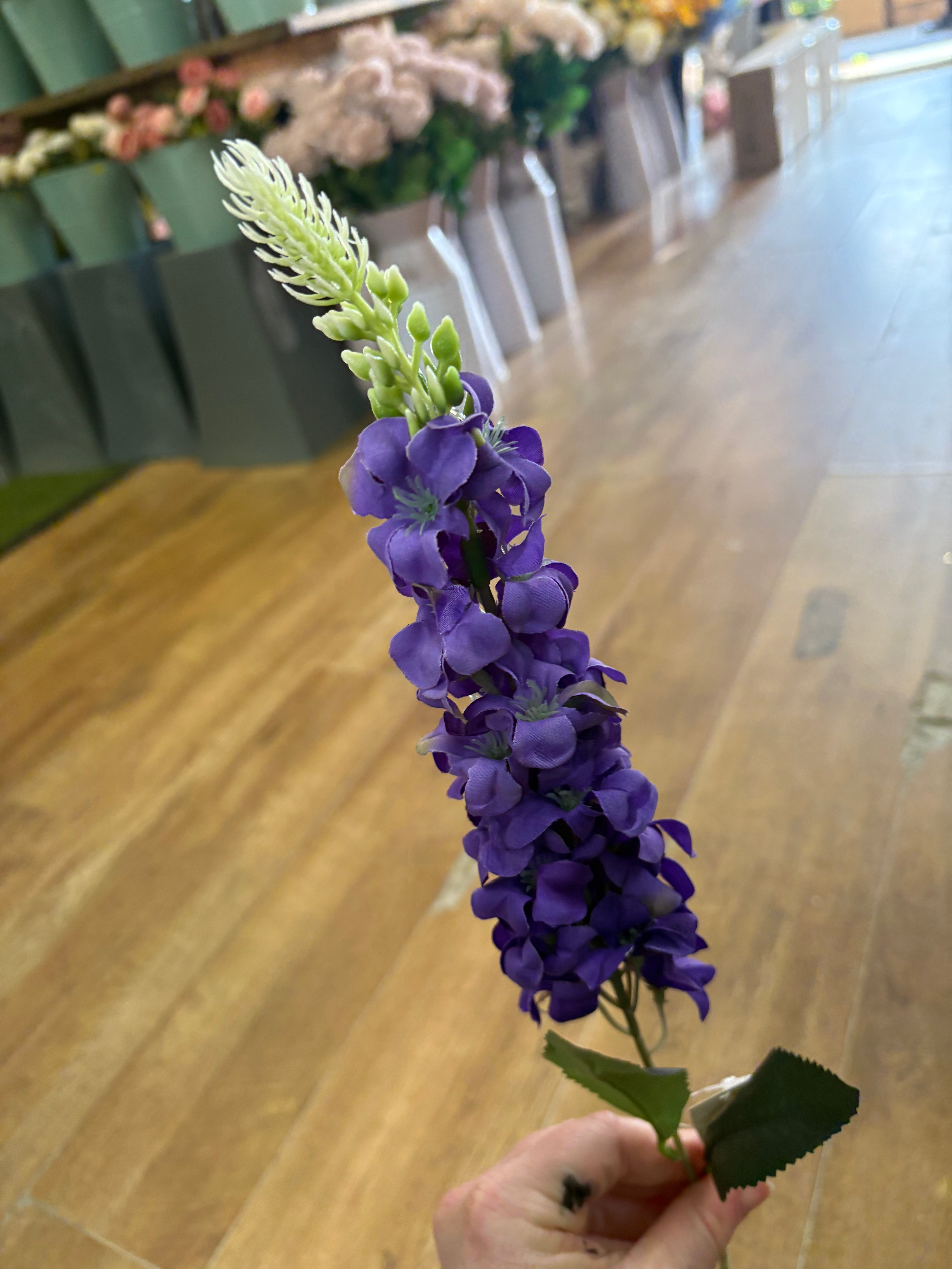 Single delphinium - 5 colours available