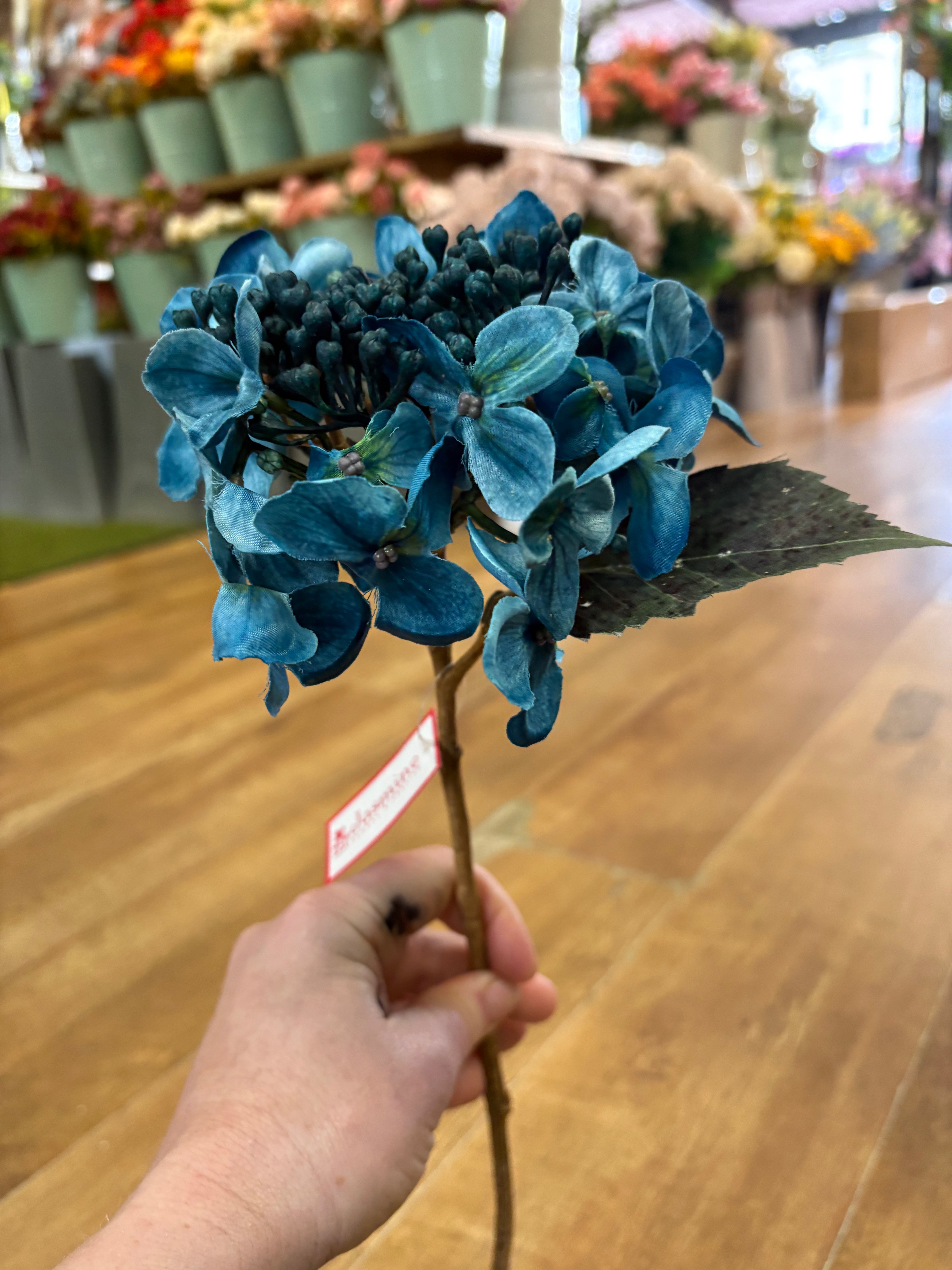 Medium length Teal budding hydrangea stem