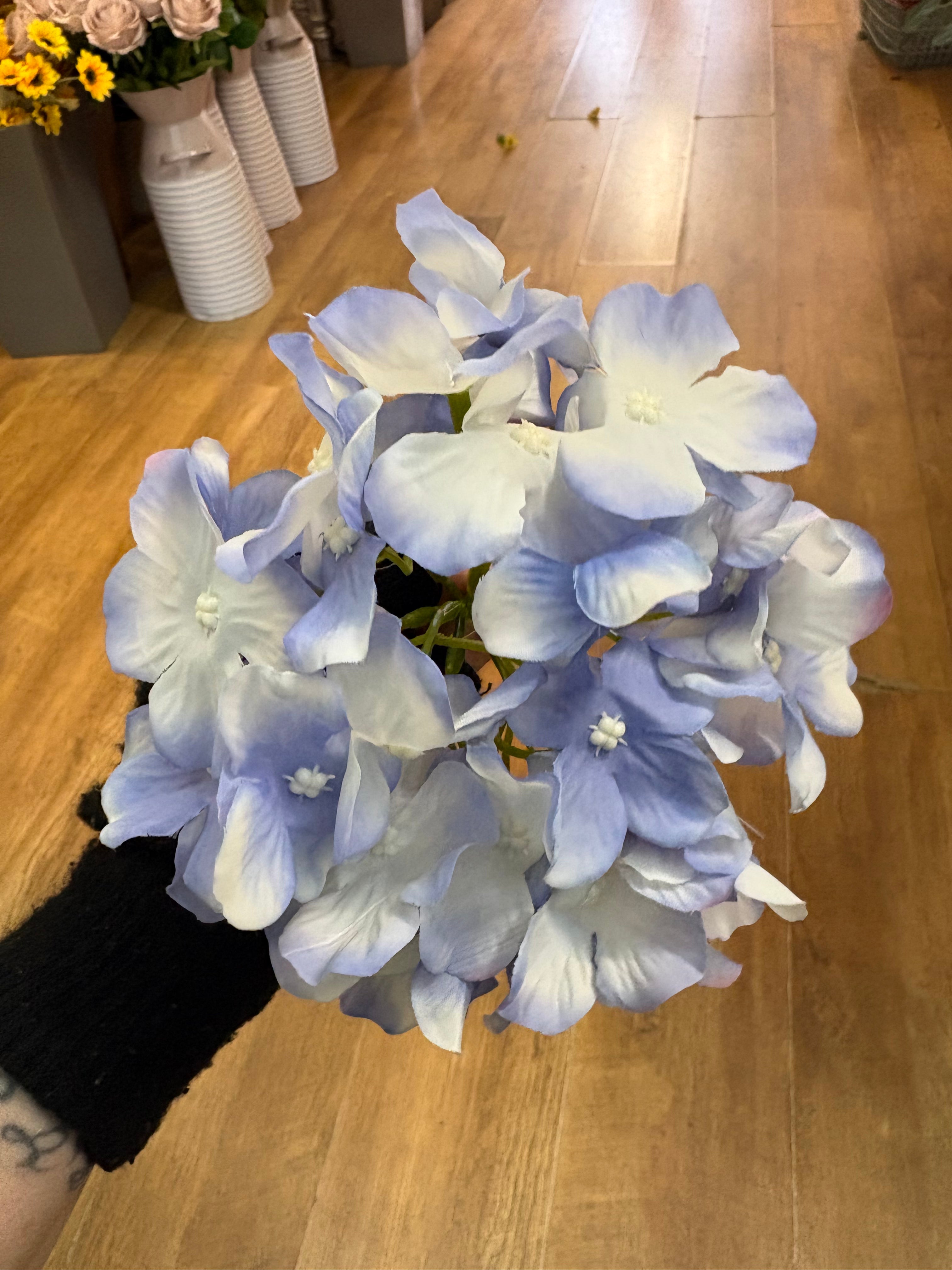 Long stem single ocean blue hydrangea