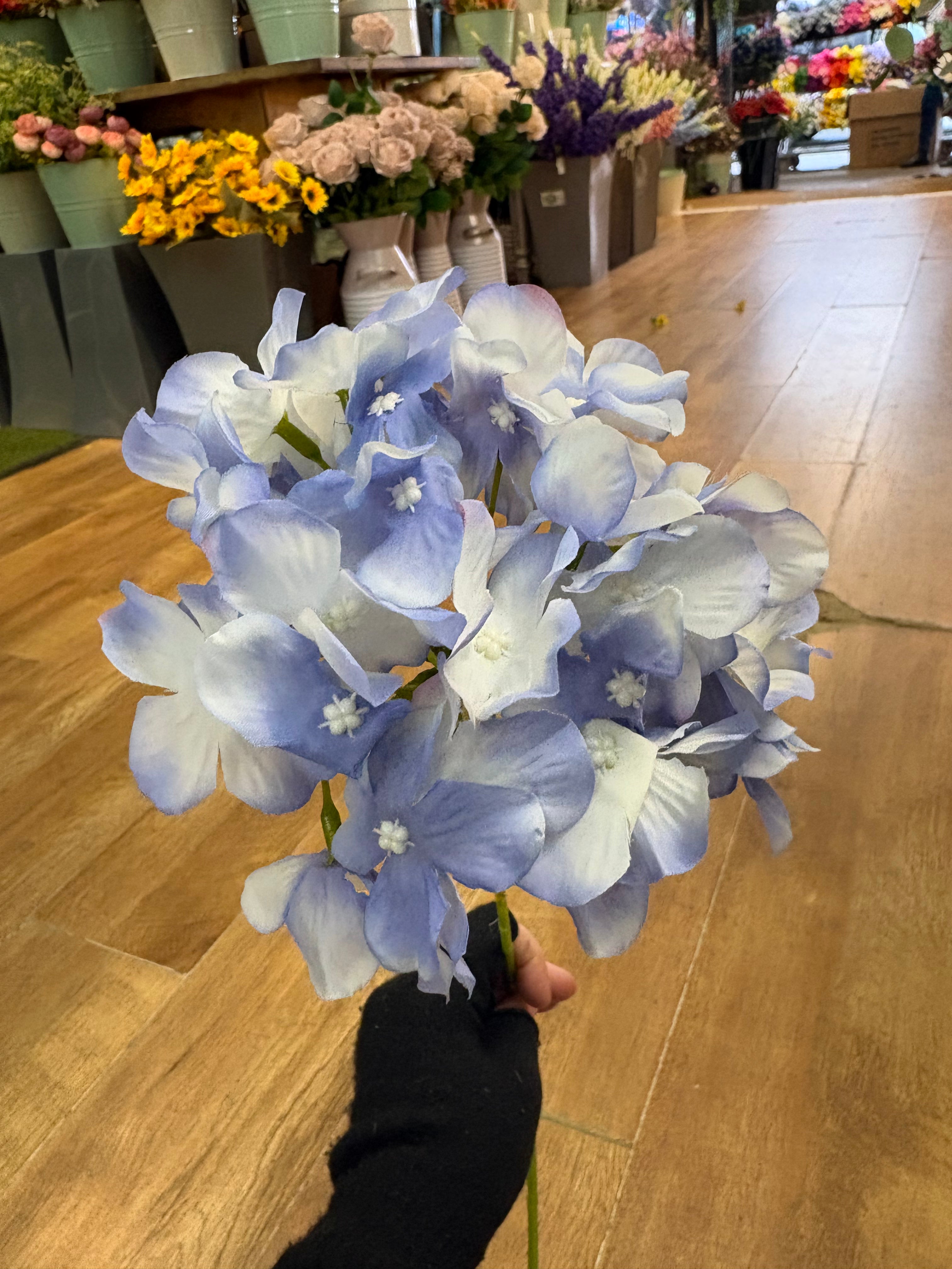 Long stem single ocean blue hydrangea