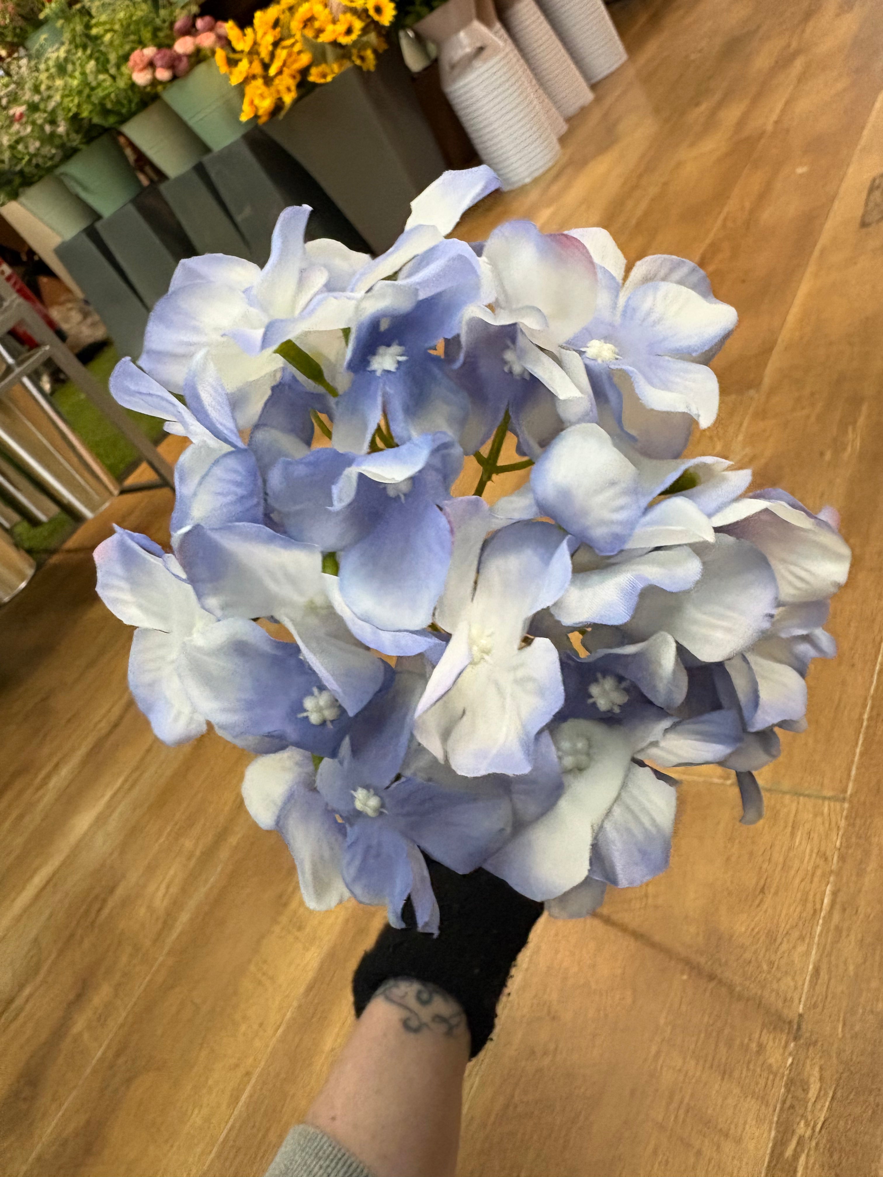 Long stem single ocean blue hydrangea