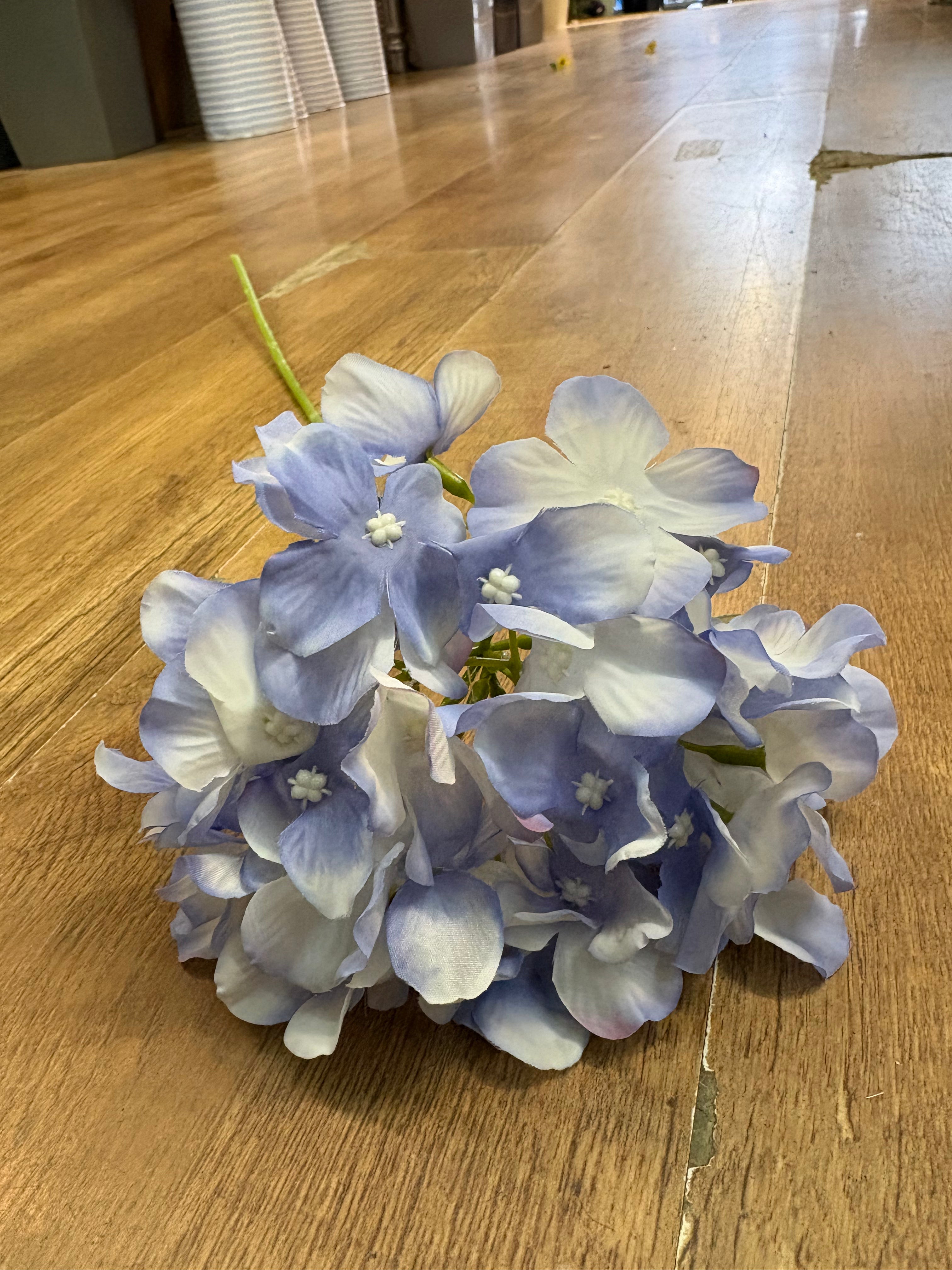 Long stem single ocean blue hydrangea