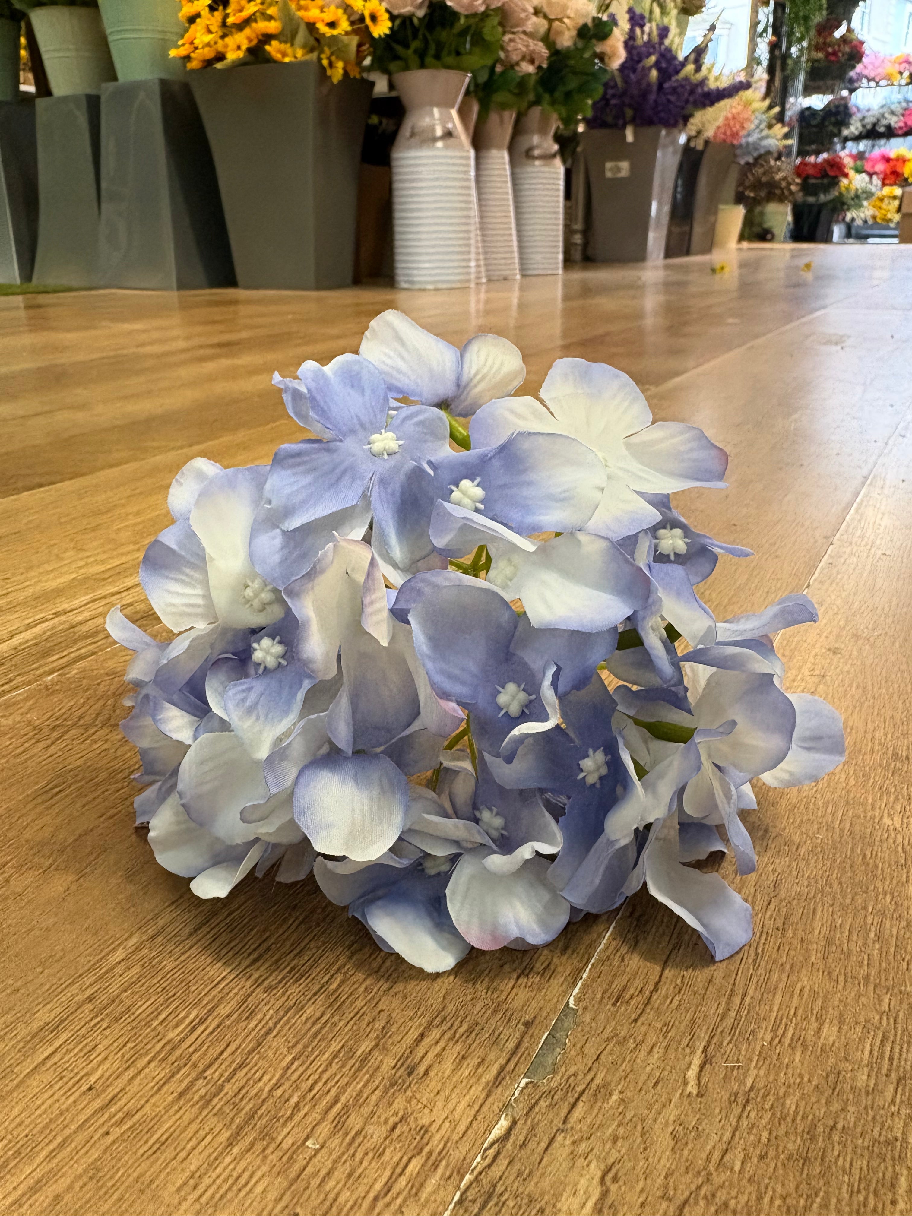 Long stem single ocean blue hydrangea