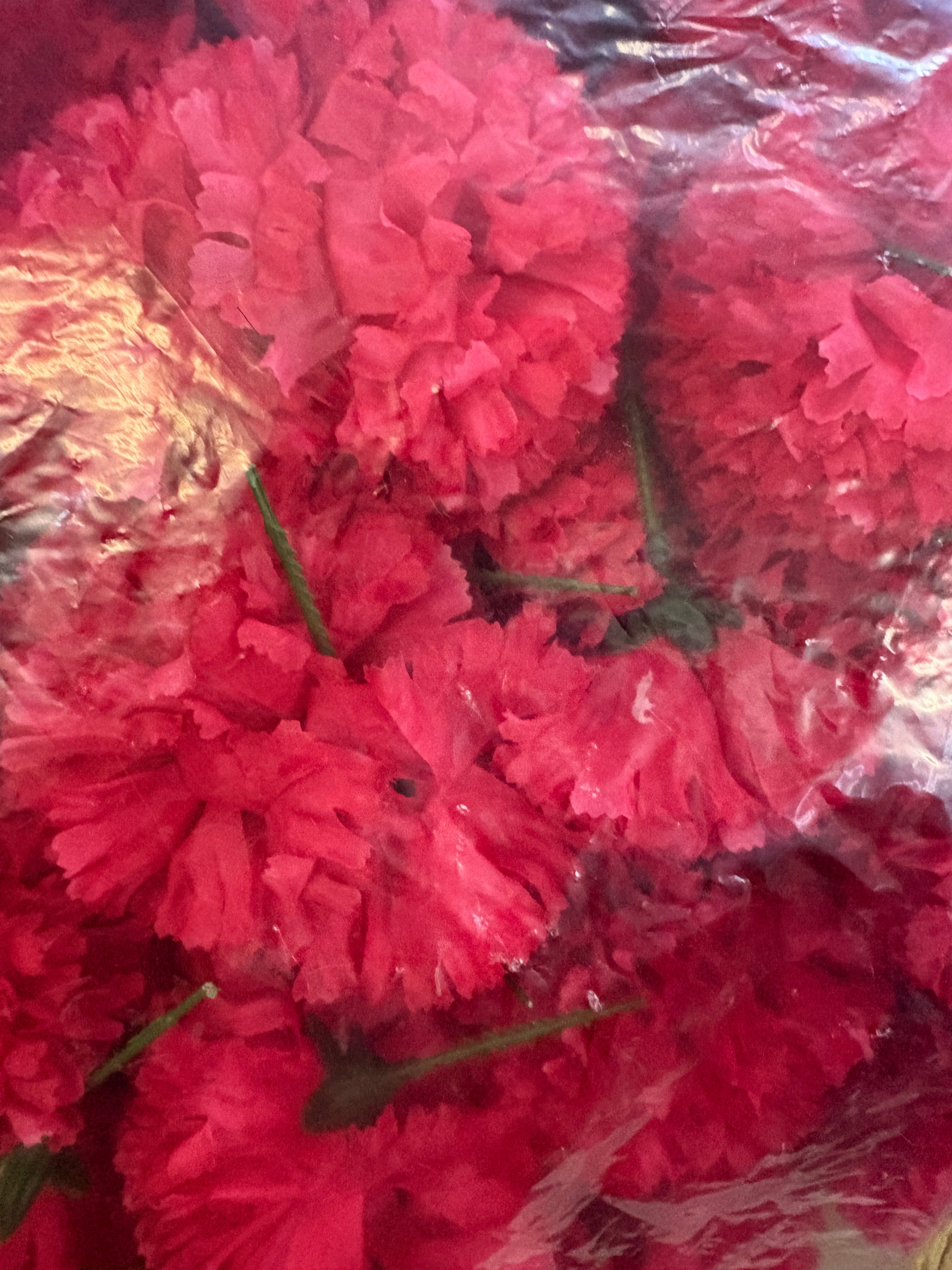 Bag of 144 hot pink carnation picks