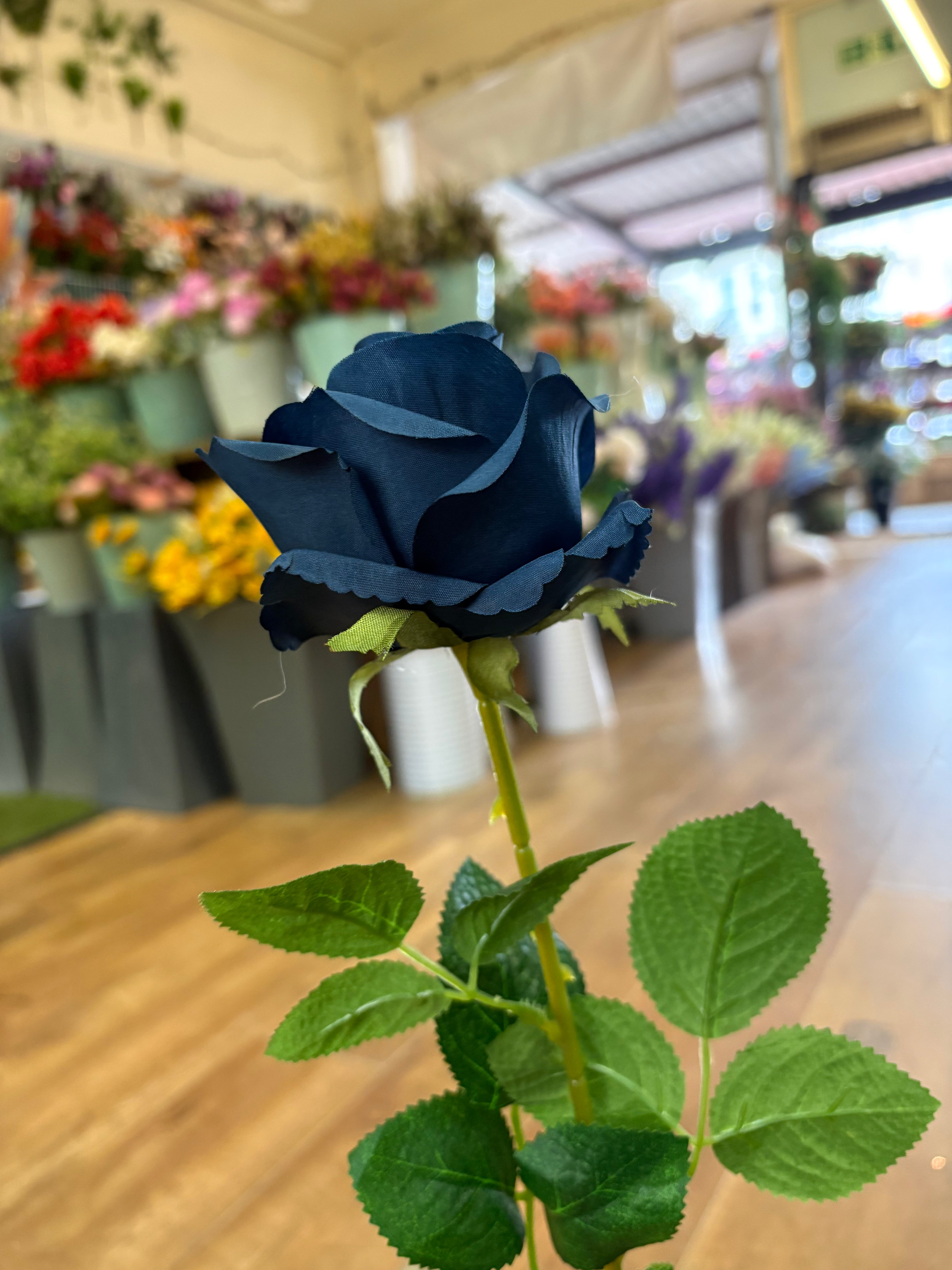 Long stem single Navy Harper rose (head approx 10cm)