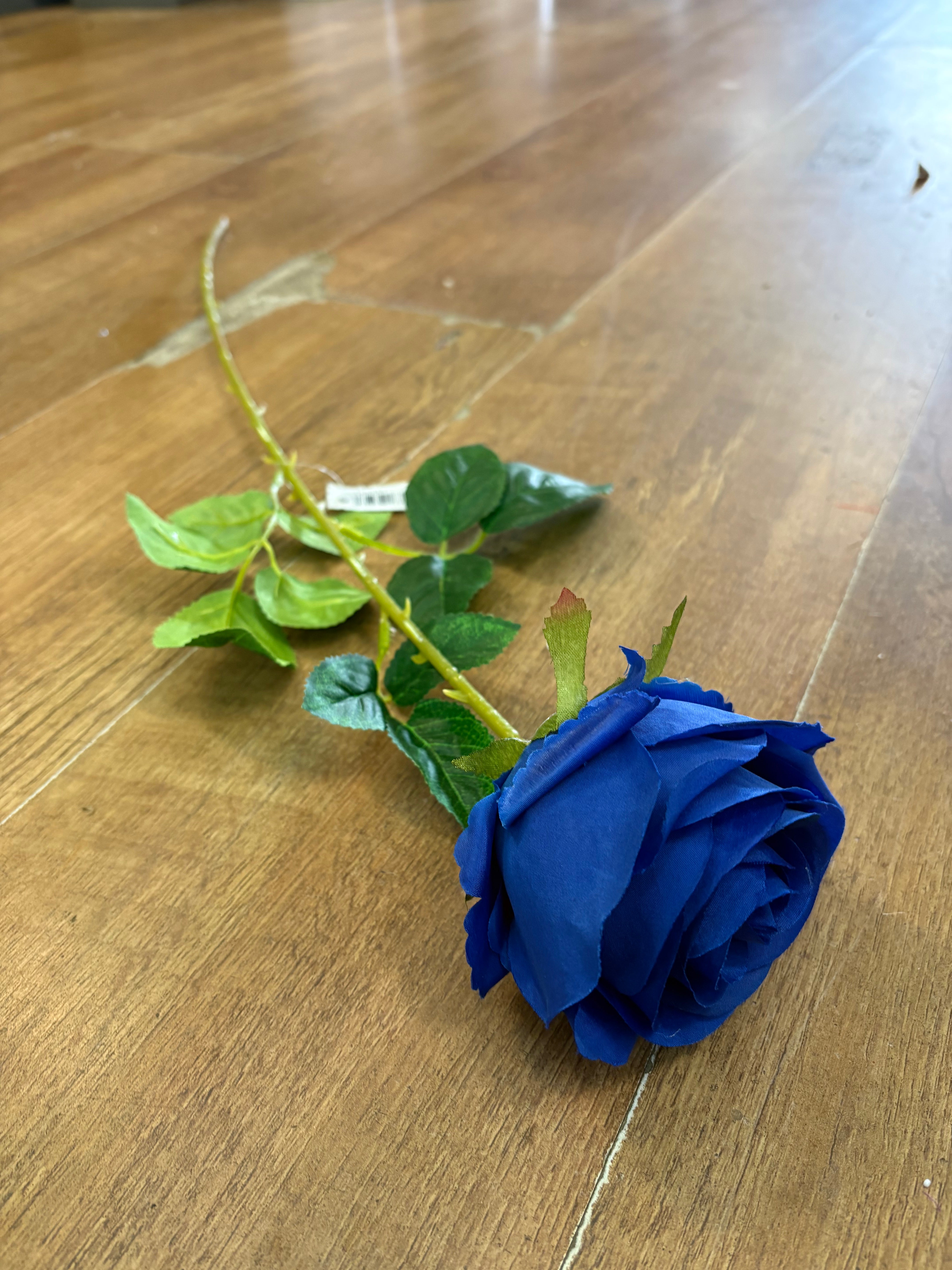 Long stem single Royal blue harper rose (head approx 10cm)