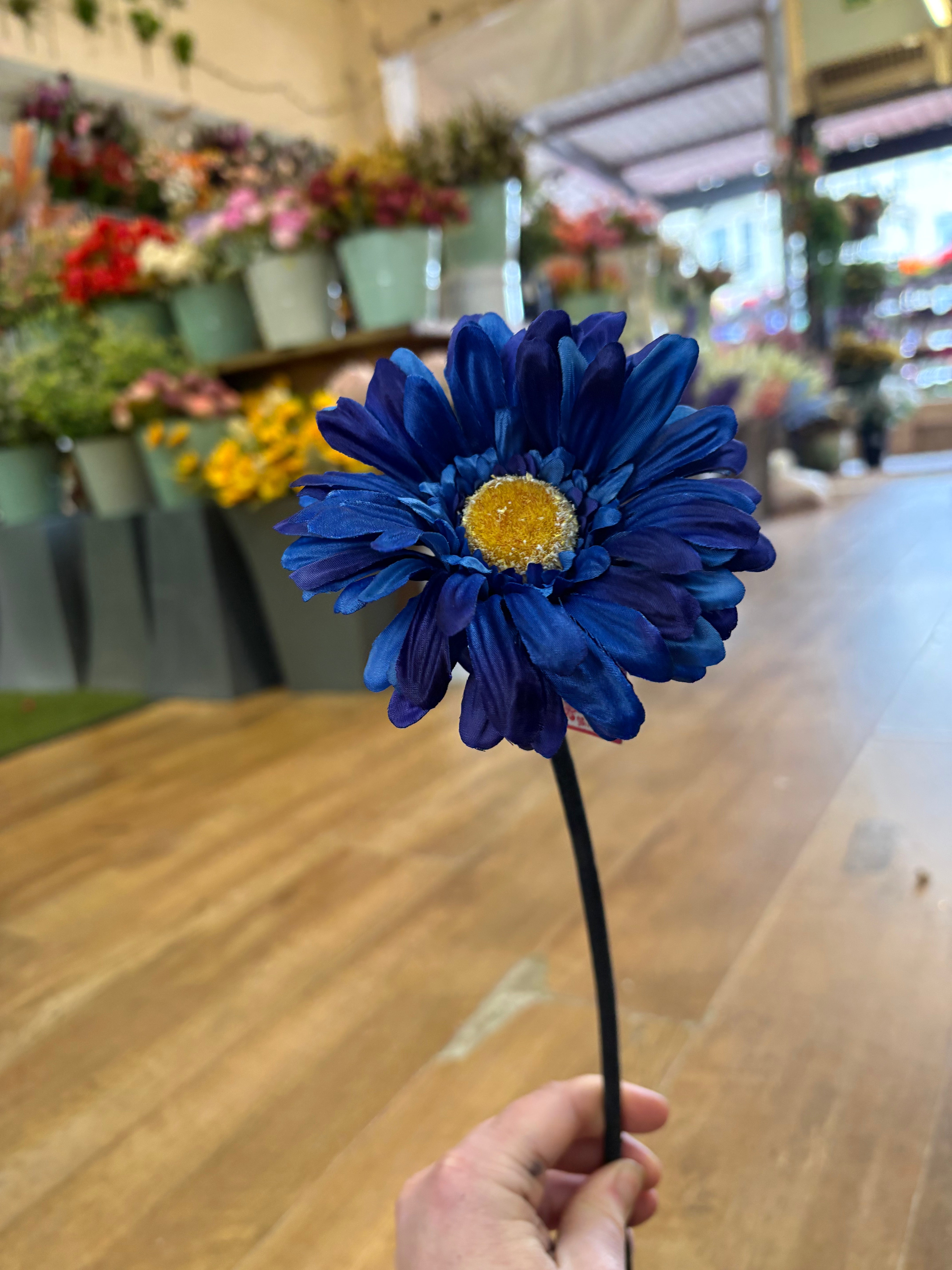 Royal blue single gerbera