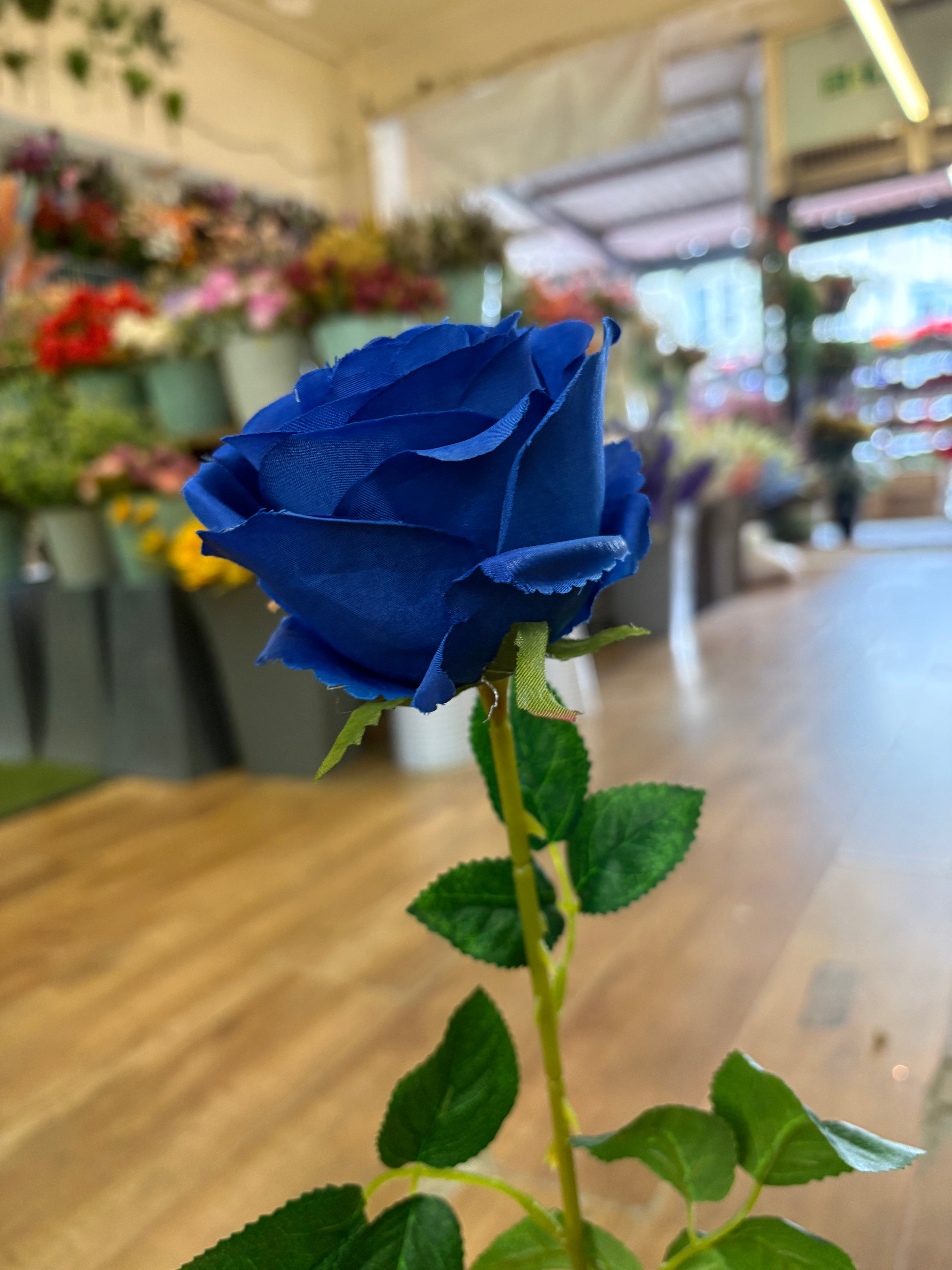 Long stem single Royal blue harper rose (head approx 10cm)