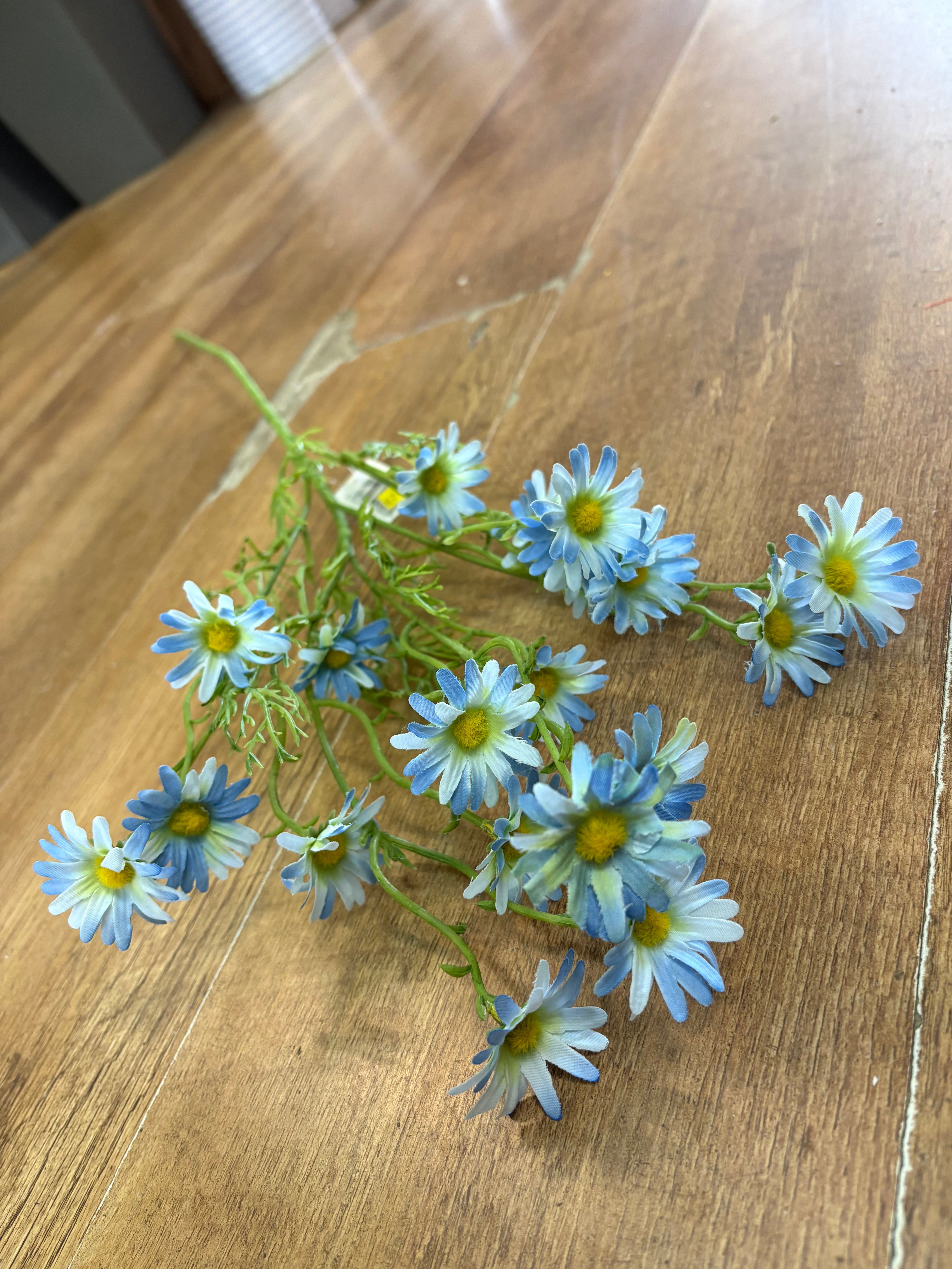 Long stem pale blue aster daisy spray