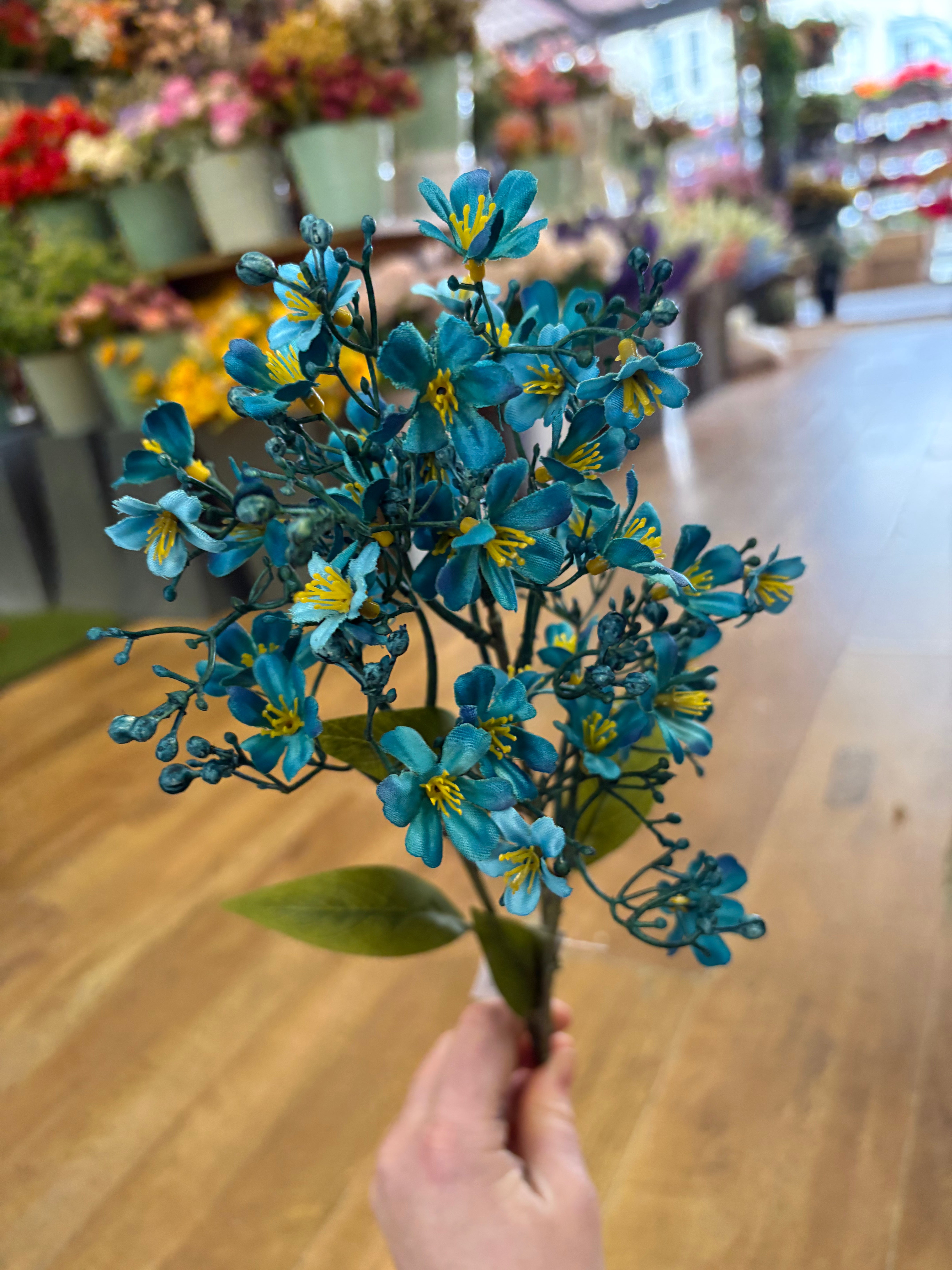 Long stem teal babies breath spray