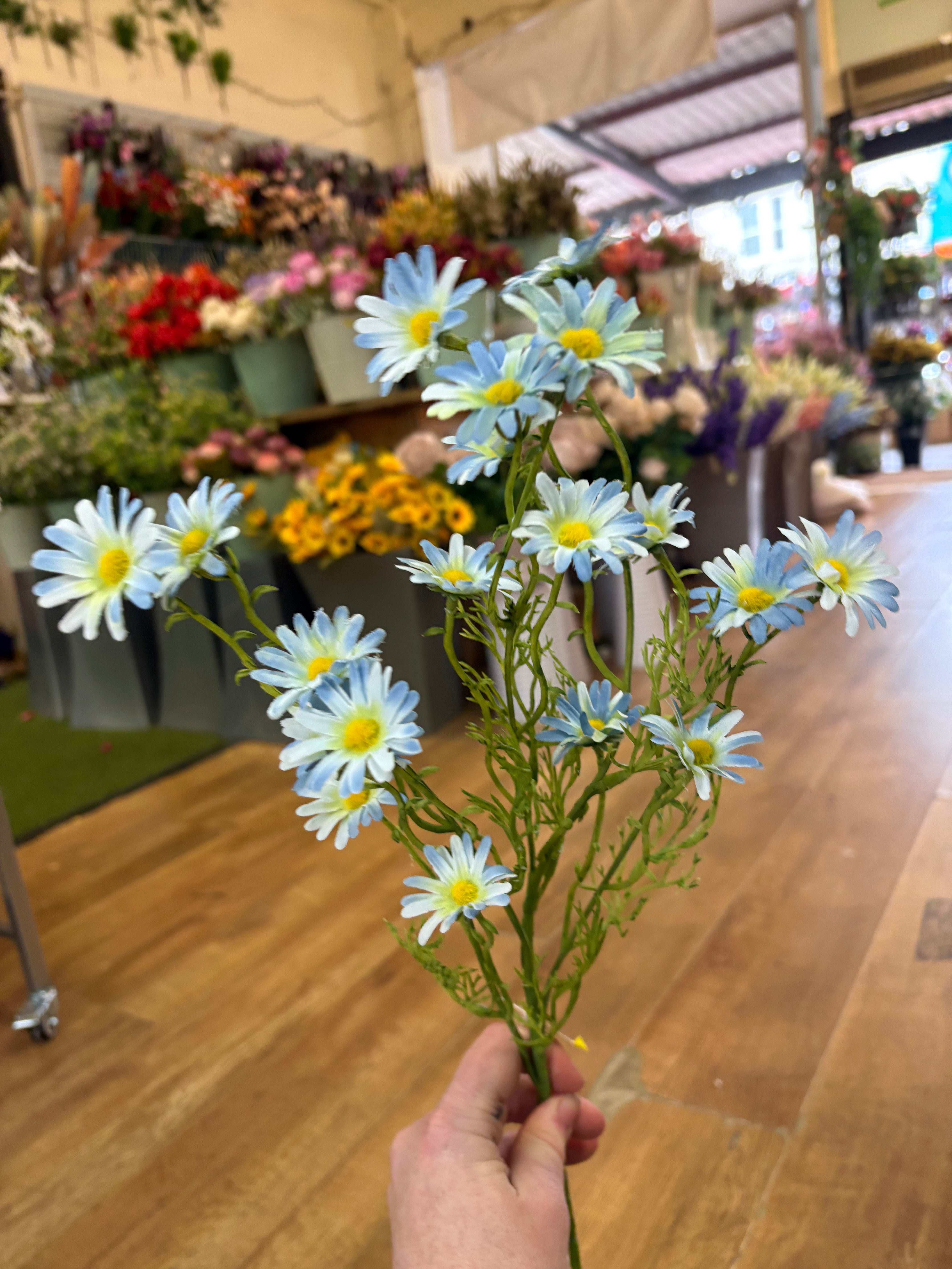 Long stem pale blue aster daisy spray