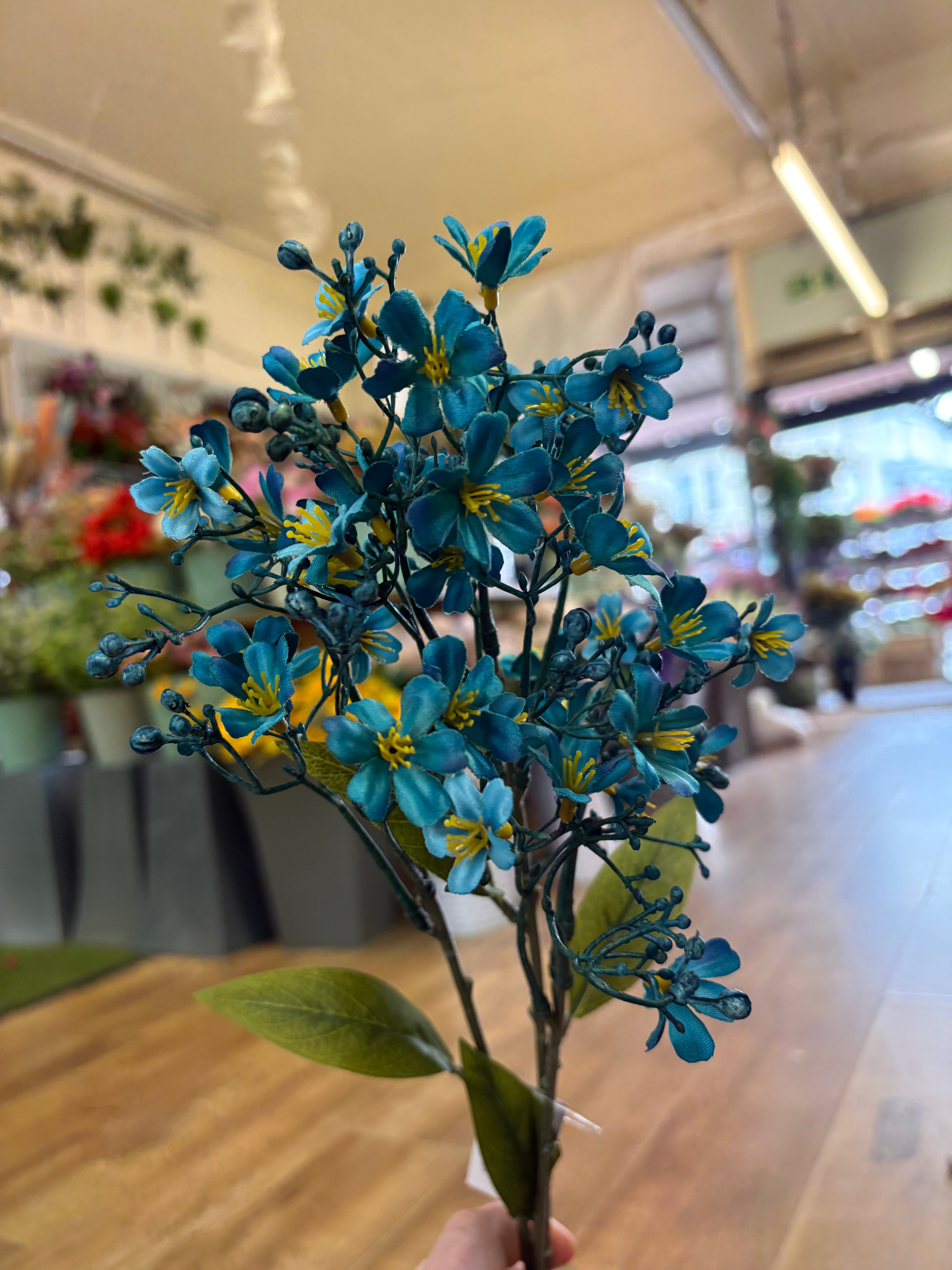 Long stem teal babies breath spray