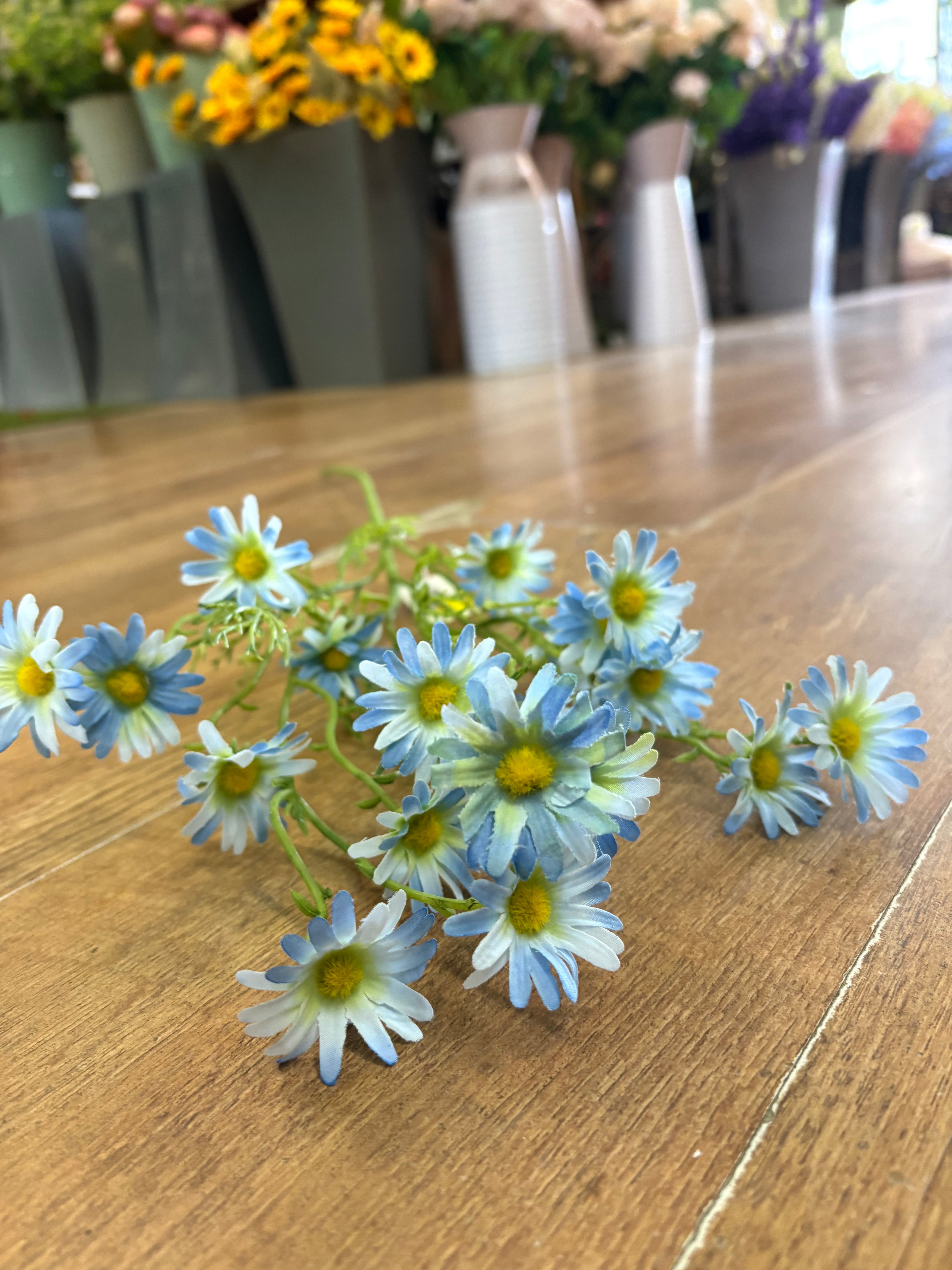 Long stem pale blue aster daisy spray
