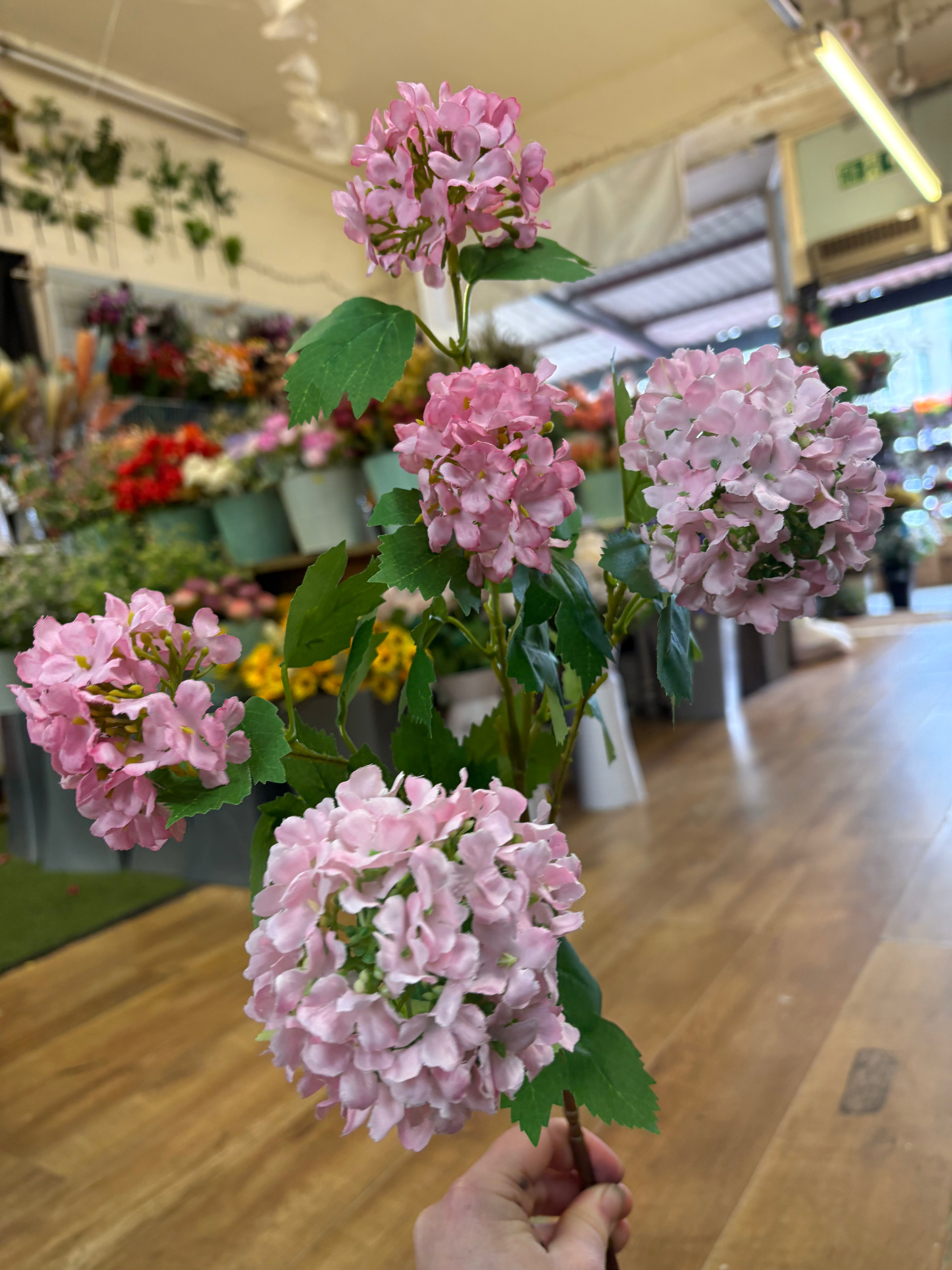 Tall stem pale pink kalanchoe geranium spray