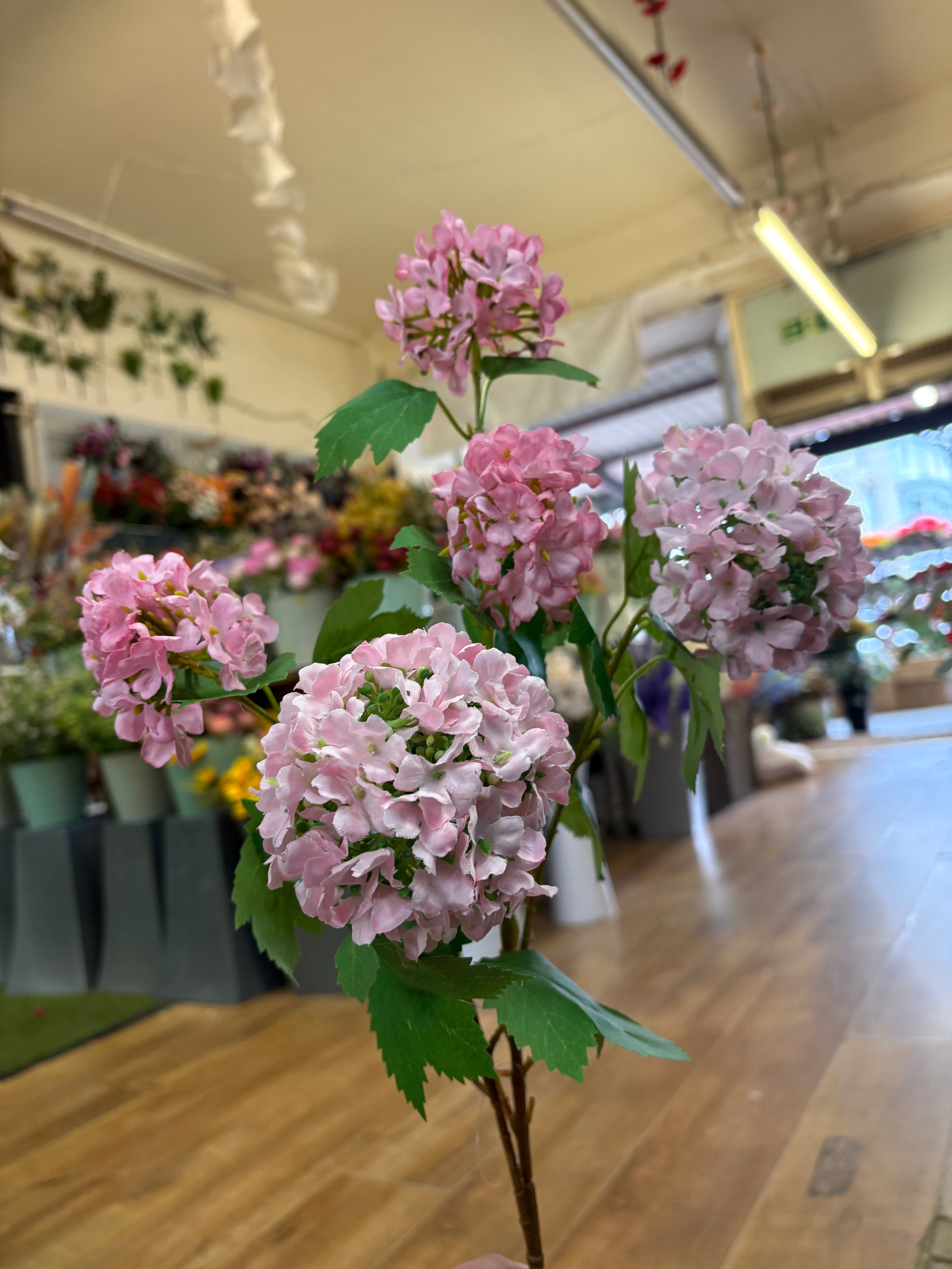 Tall stem pale pink kalanchoe geranium spray