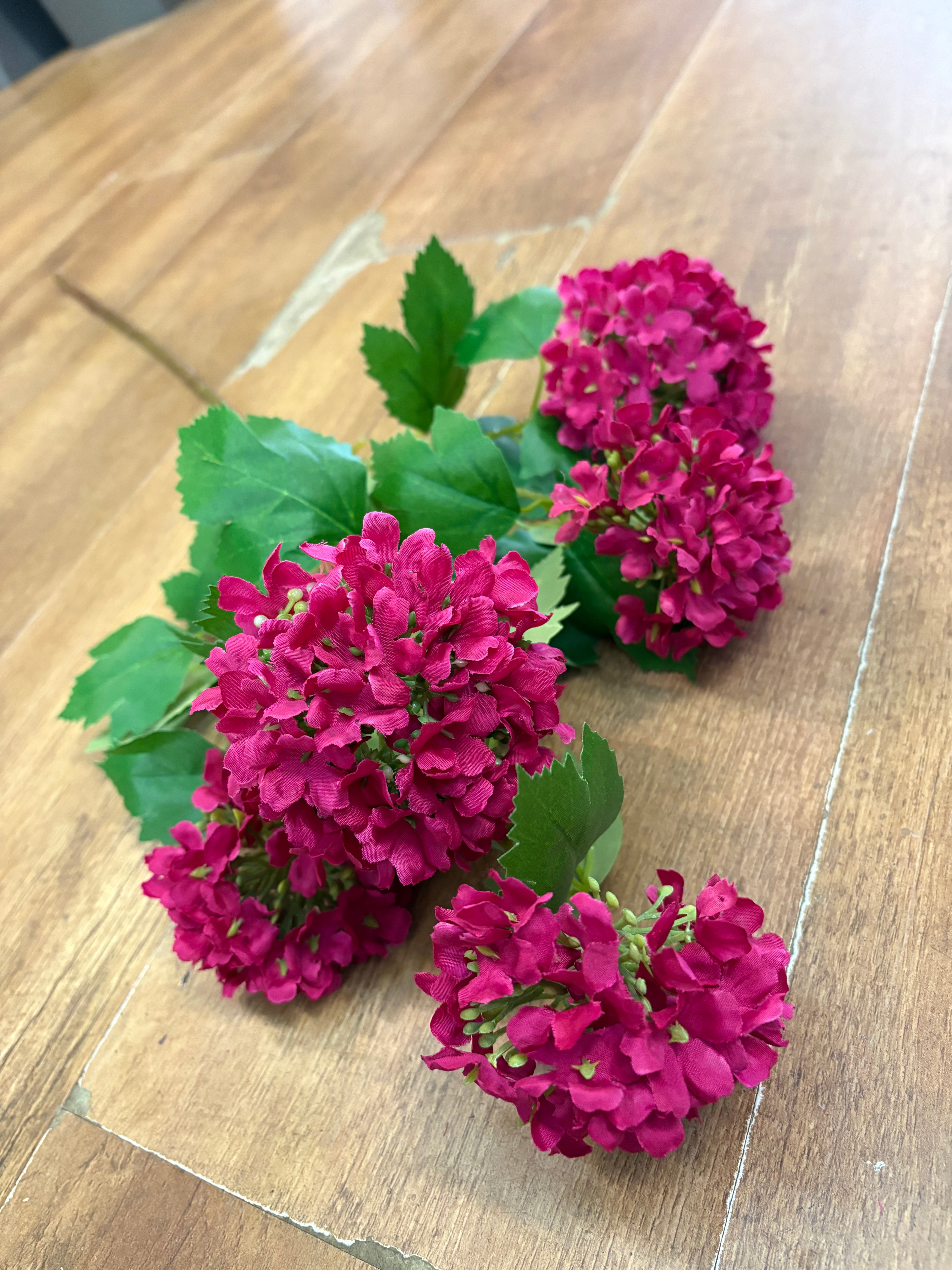 Tall stem hot pink kalanchoe geranium spray